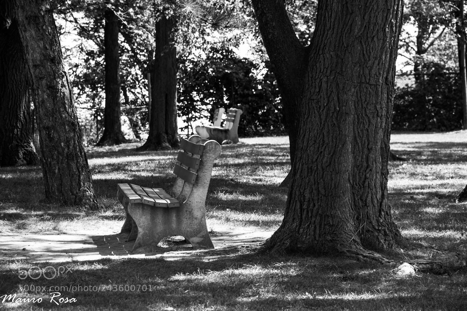 Canon EOS 60D sample photo. Solitude photography