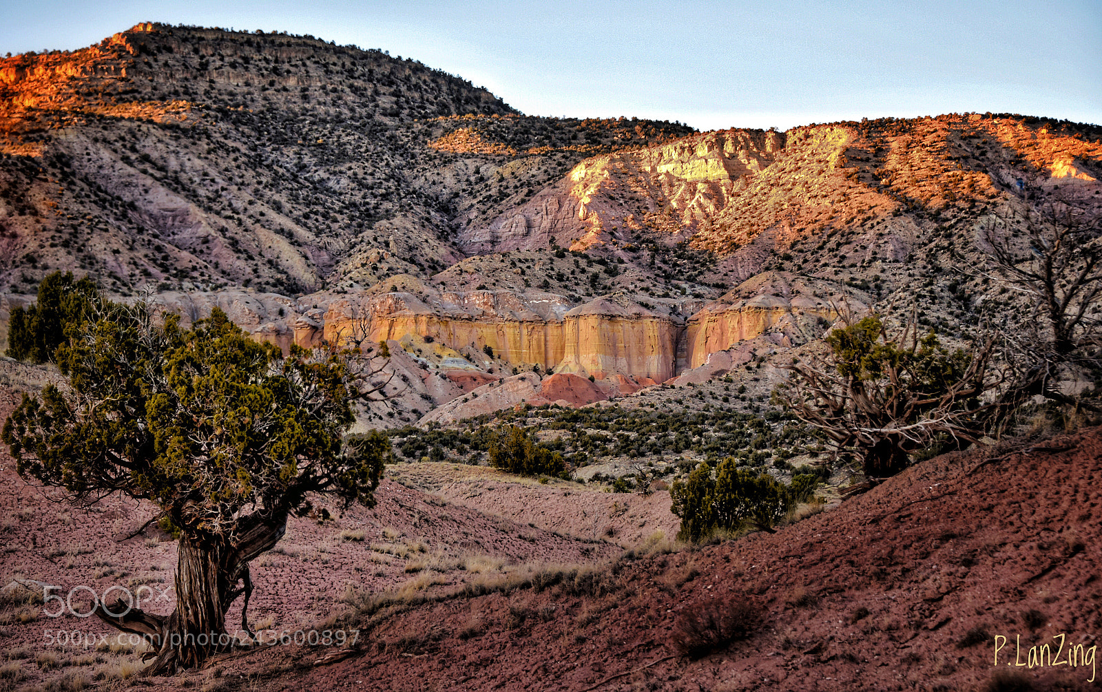 Nikon D810 sample photo. Golden glow, new mexico photography