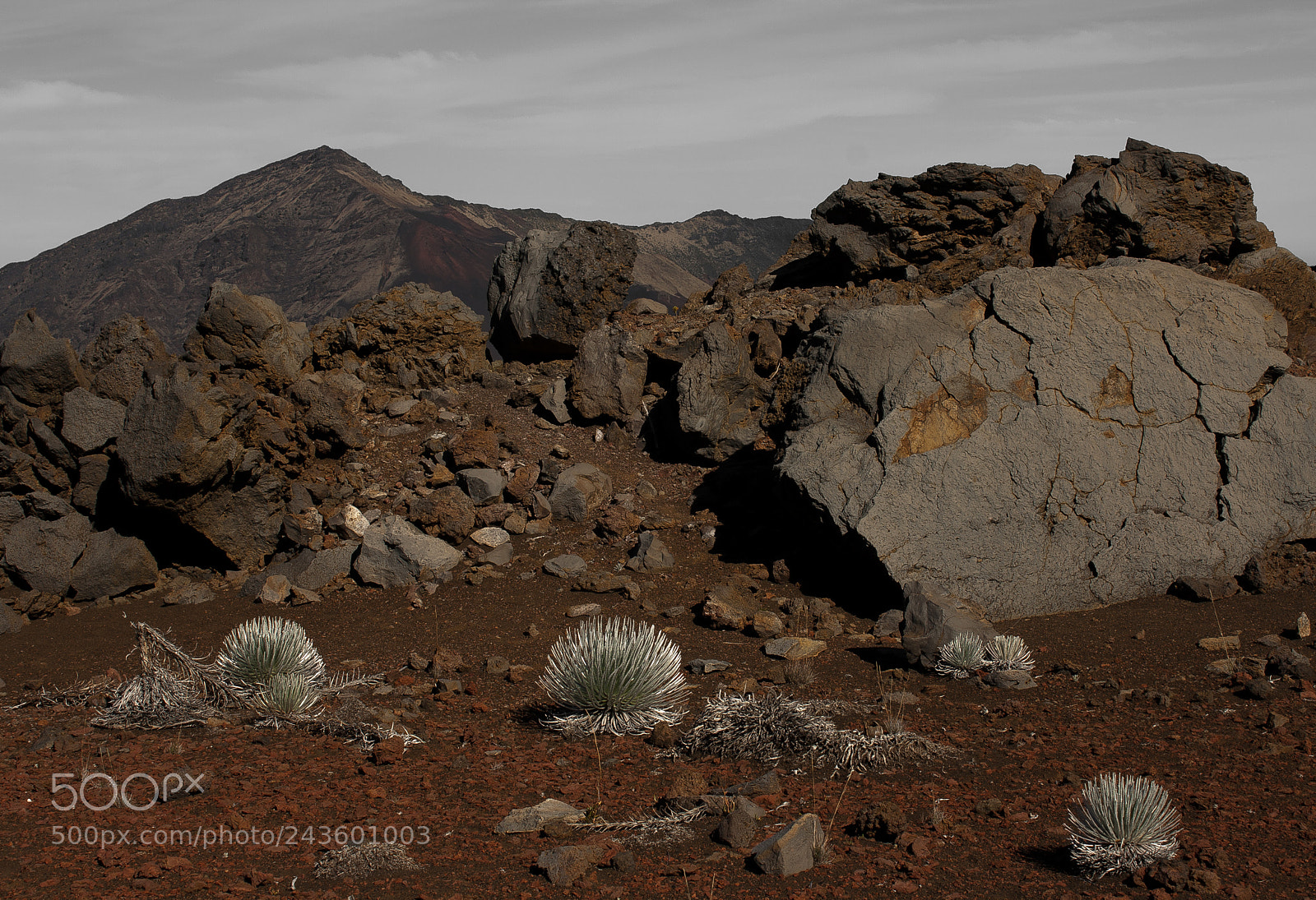 Canon EOS 1000D (EOS Digital Rebel XS / EOS Kiss F) sample photo. Sliding sands trail photography