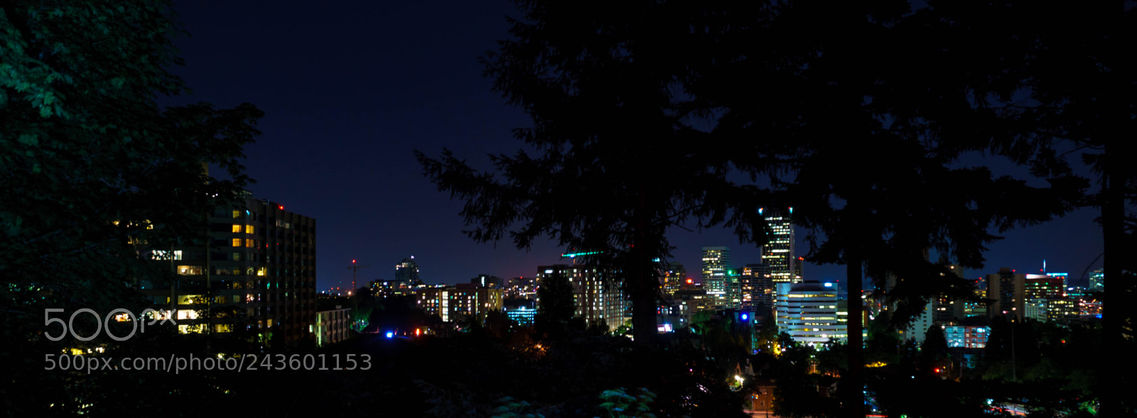 Sony a7R II sample photo. Portland photography