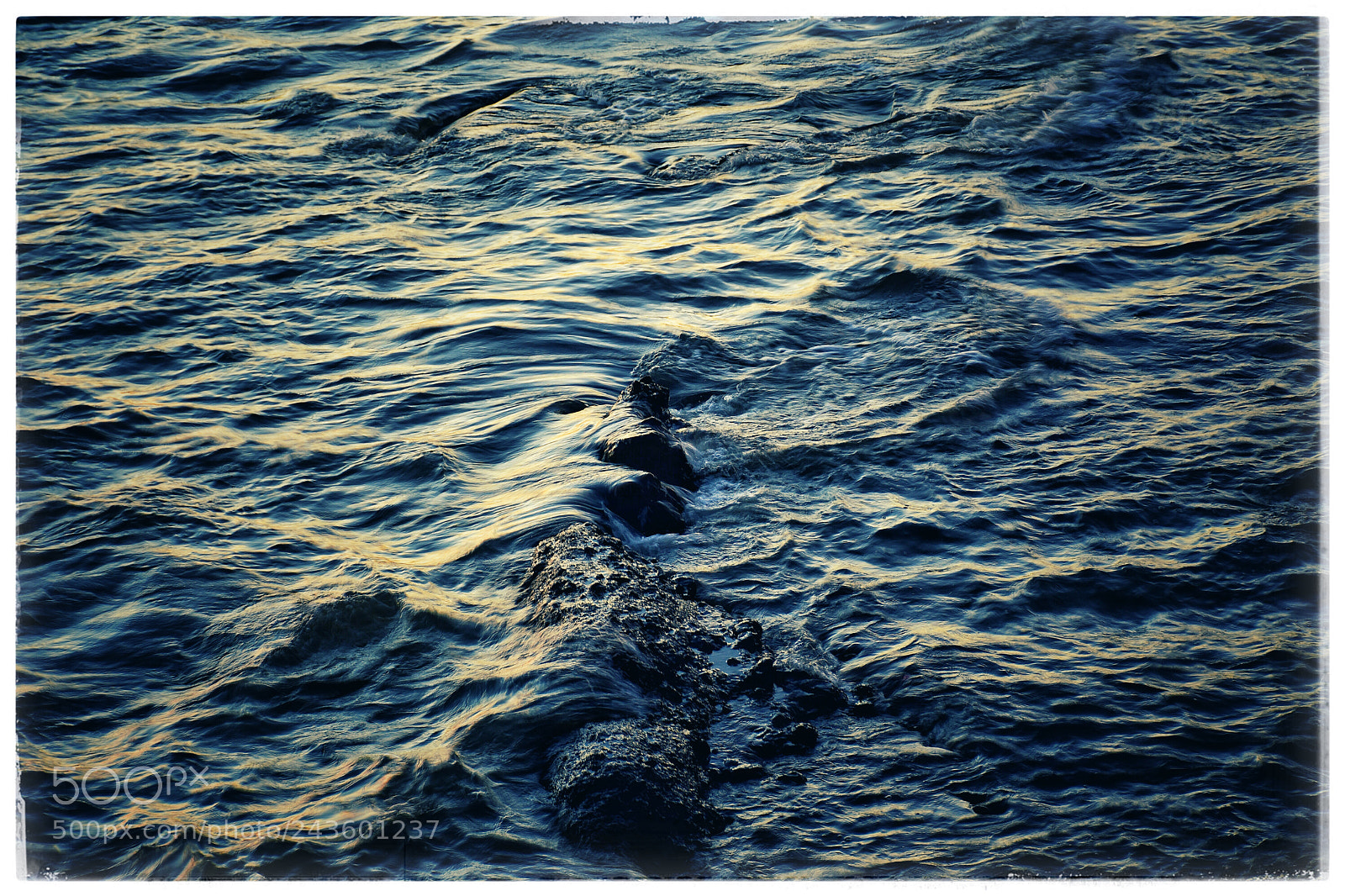 Nikon D7200 sample photo. The shape of water photography