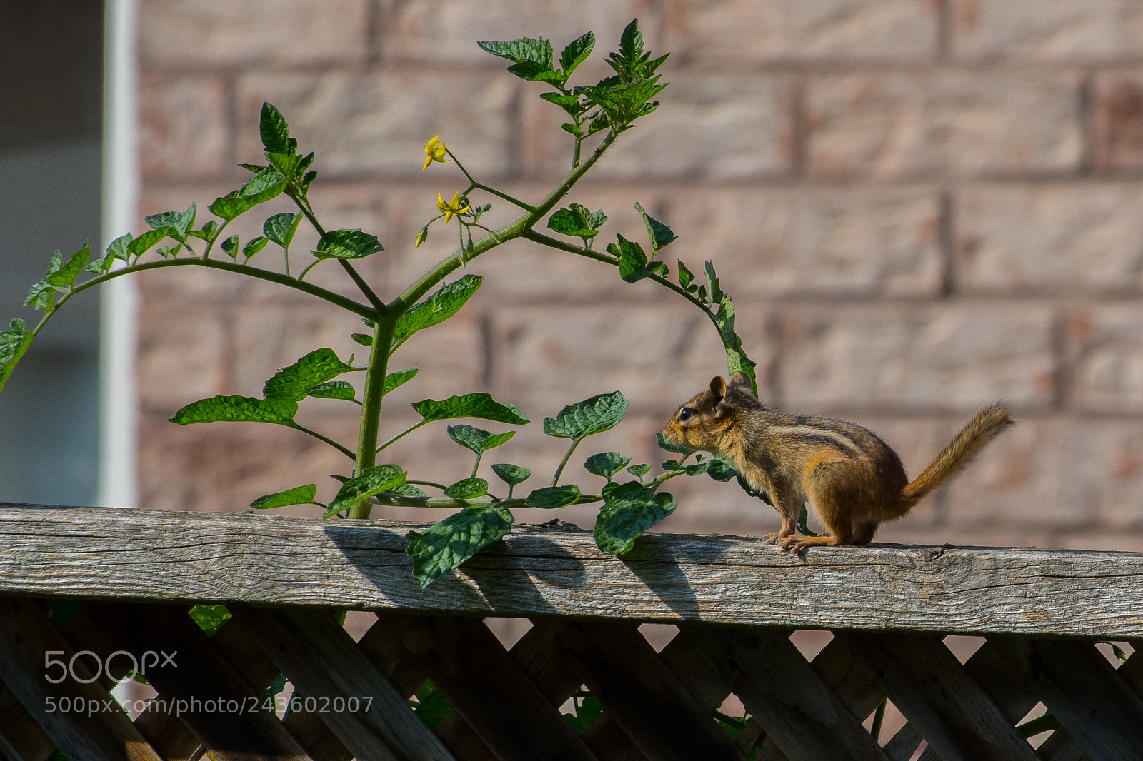 Nikon D500 sample photo. Visitor photography