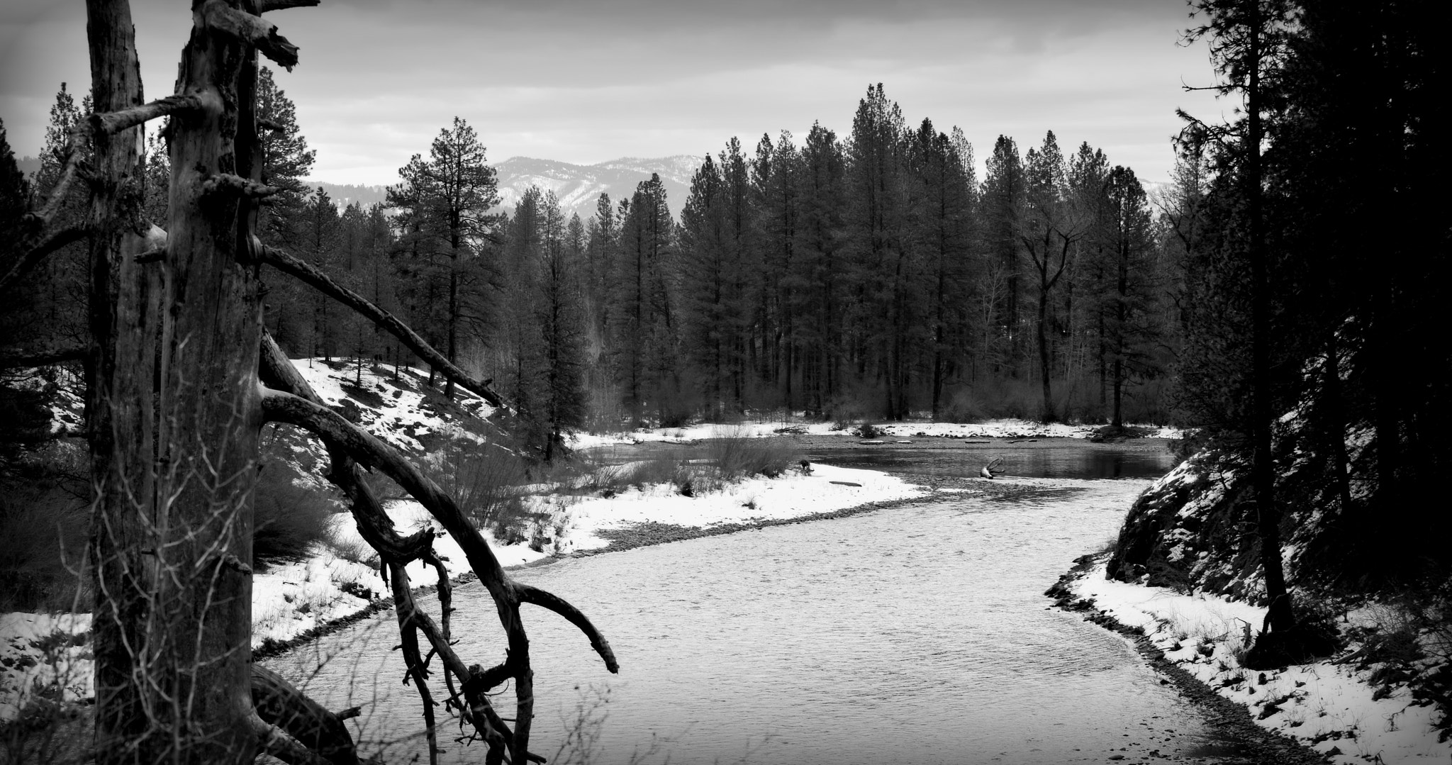 Nikon D800 sample photo. The river photography