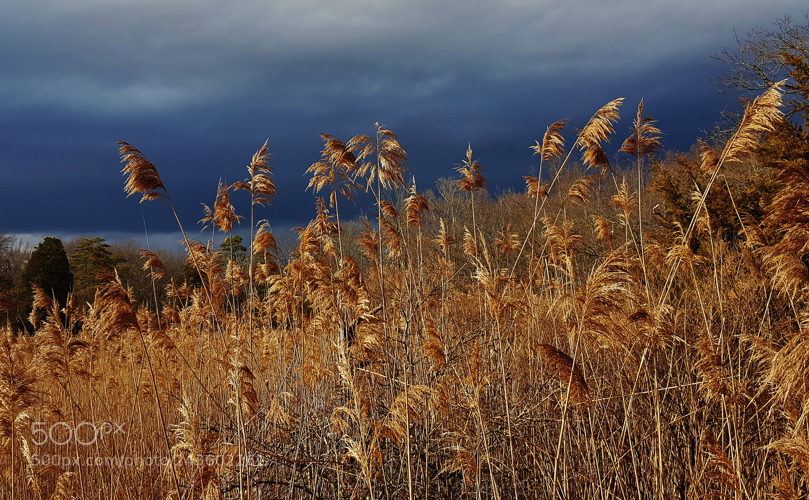 Samsung Galaxy S6 sample photo. Marsh storm scene photography