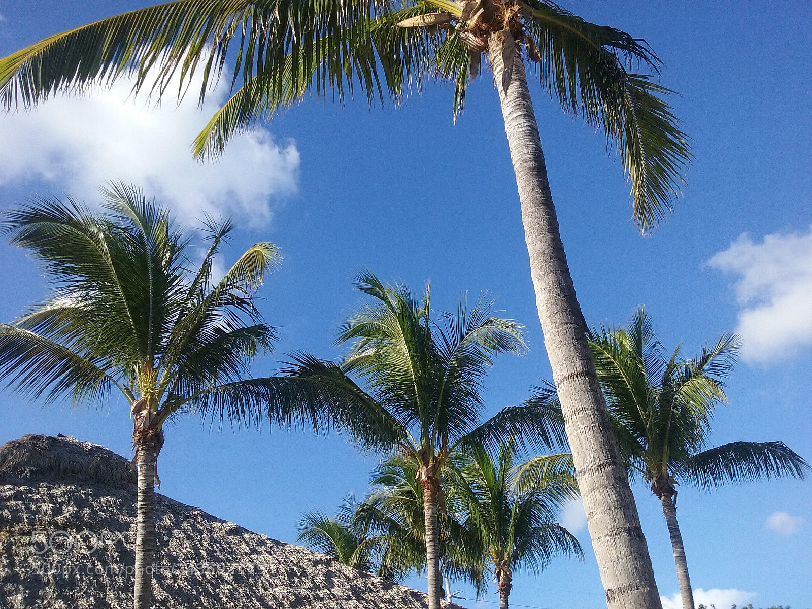 Samsung Galaxy Core Prime sample photo. Beach day photography