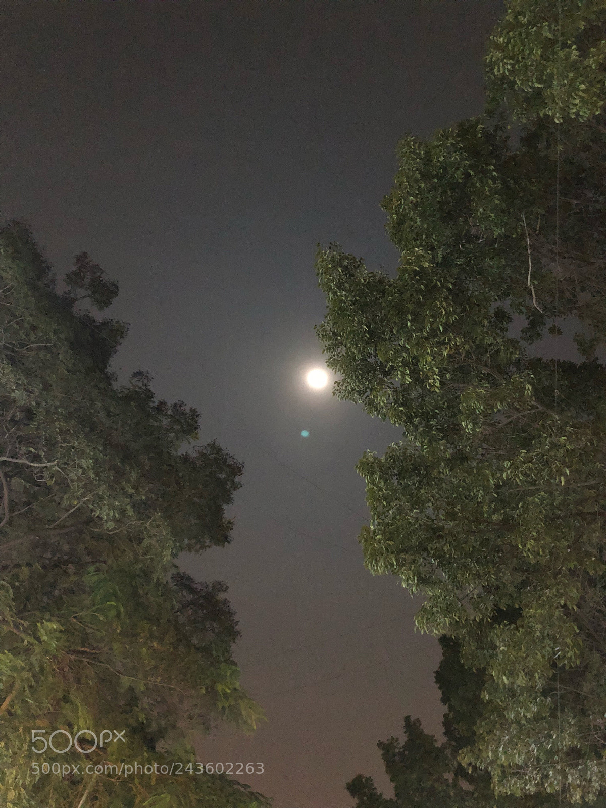 Apple iPhone X sample photo. A full moon captured photography