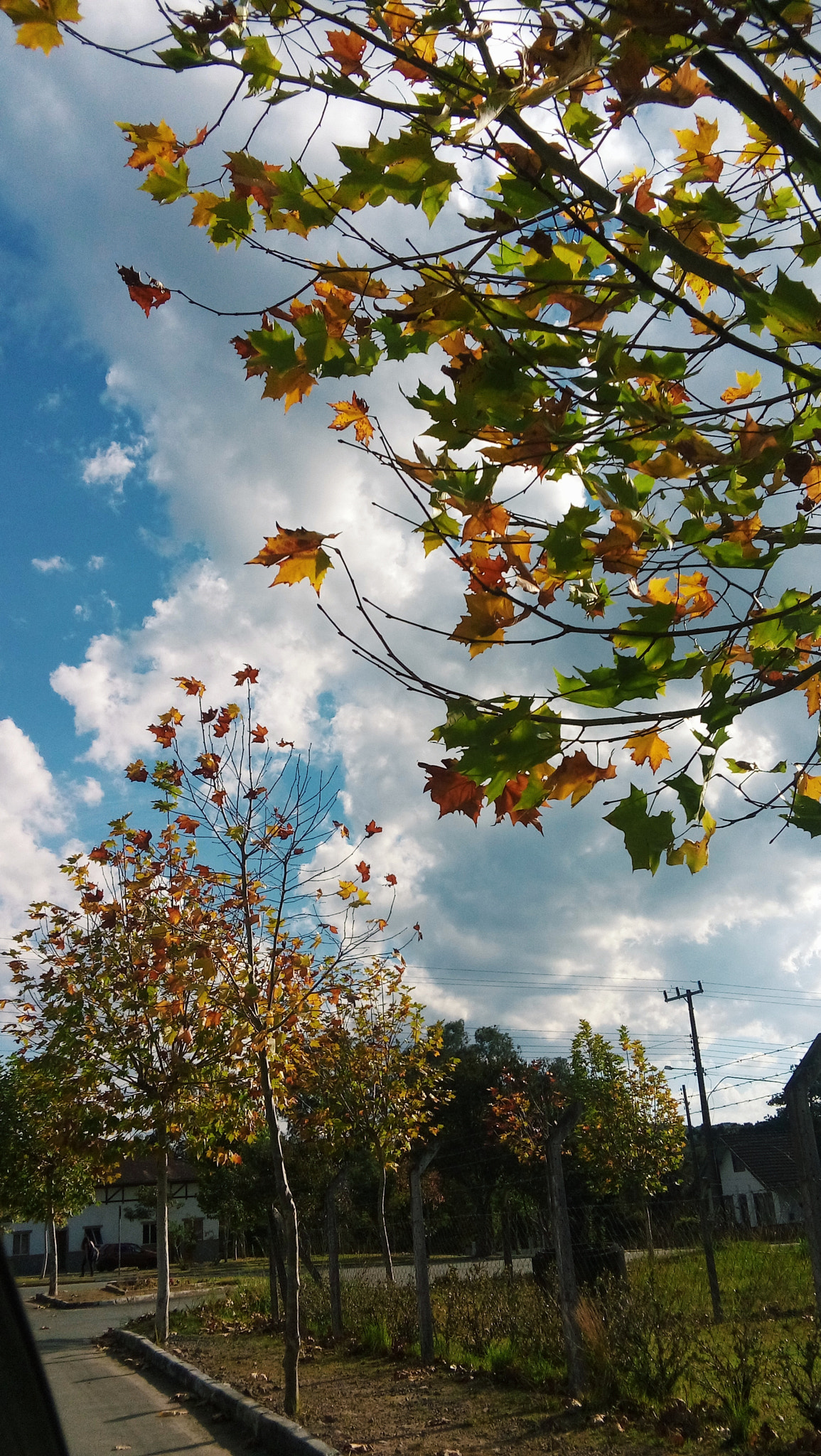 LG L Bello sample photo. Nature photography