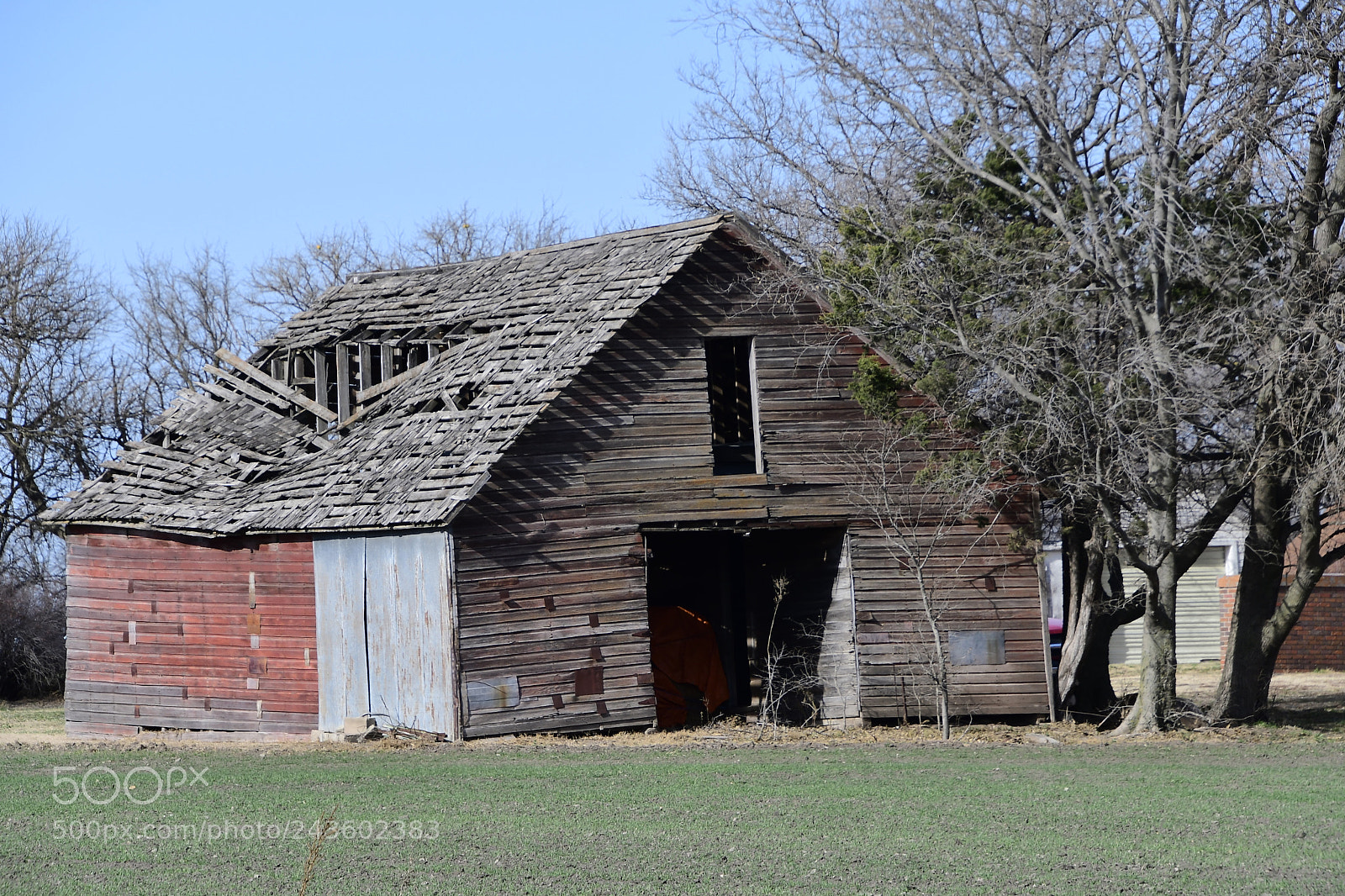 Nikon D500 sample photo. Getting old photography