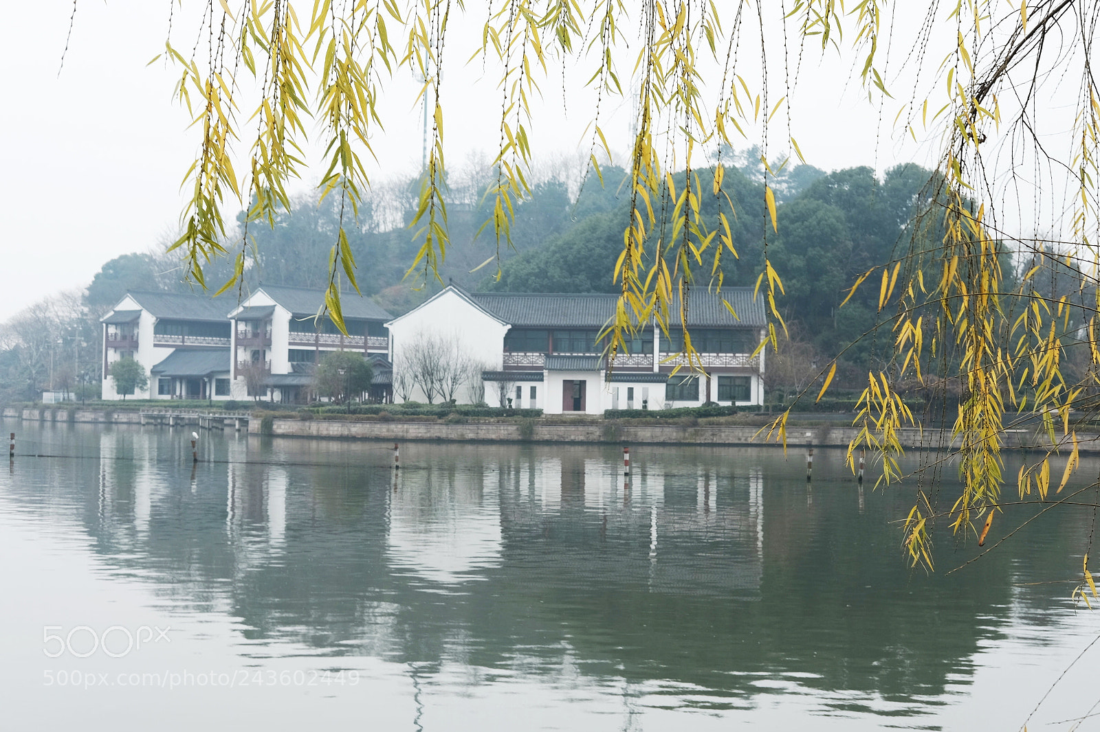 Fujifilm X-T10 sample photo. Untitled photography