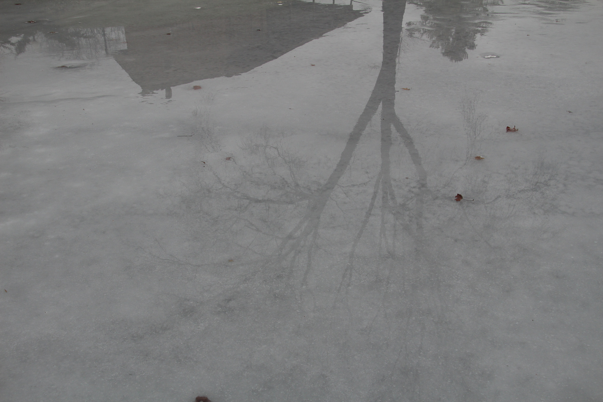 Canon EOS 1200D (EOS Rebel T5 / EOS Kiss X70 / EOS Hi) sample photo. Melting ice reflections 2. 融冰反射2。 融解する氷の反射2。 photography