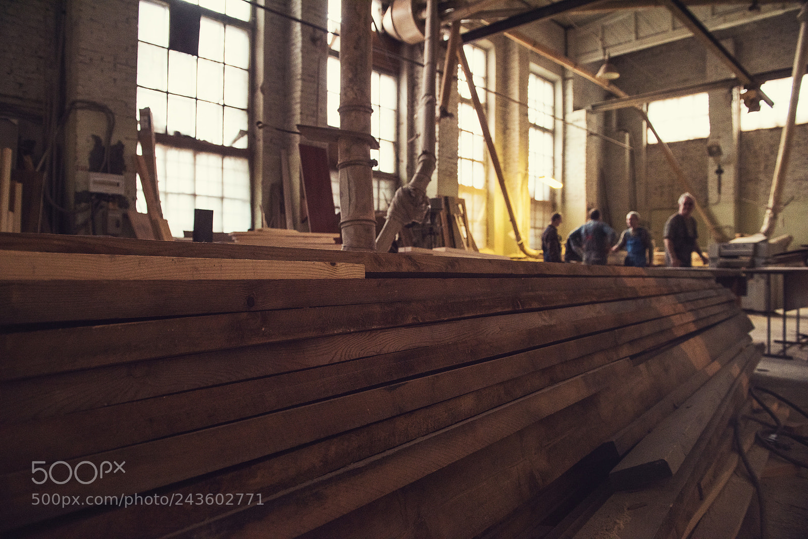Nikon D810 sample photo. At the sawmill photography