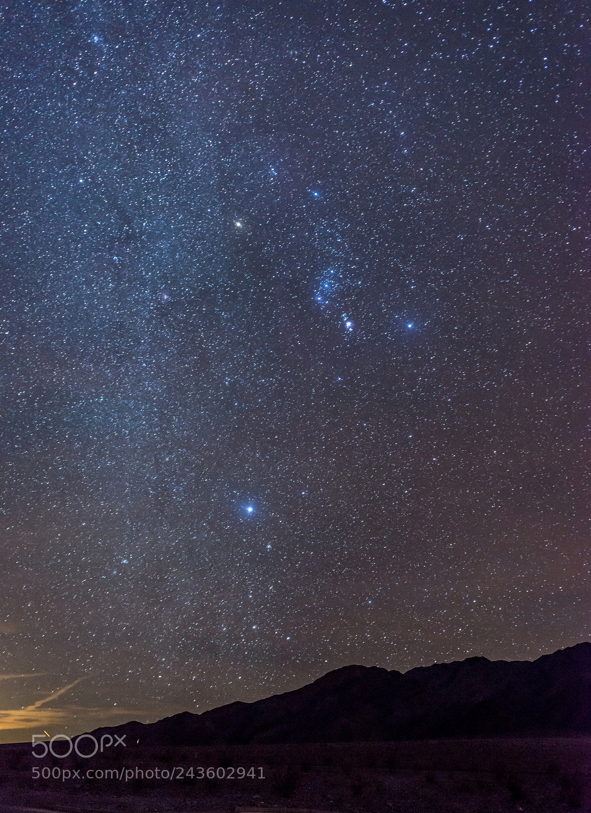 Nikon D800 sample photo. Orion and the winter photography