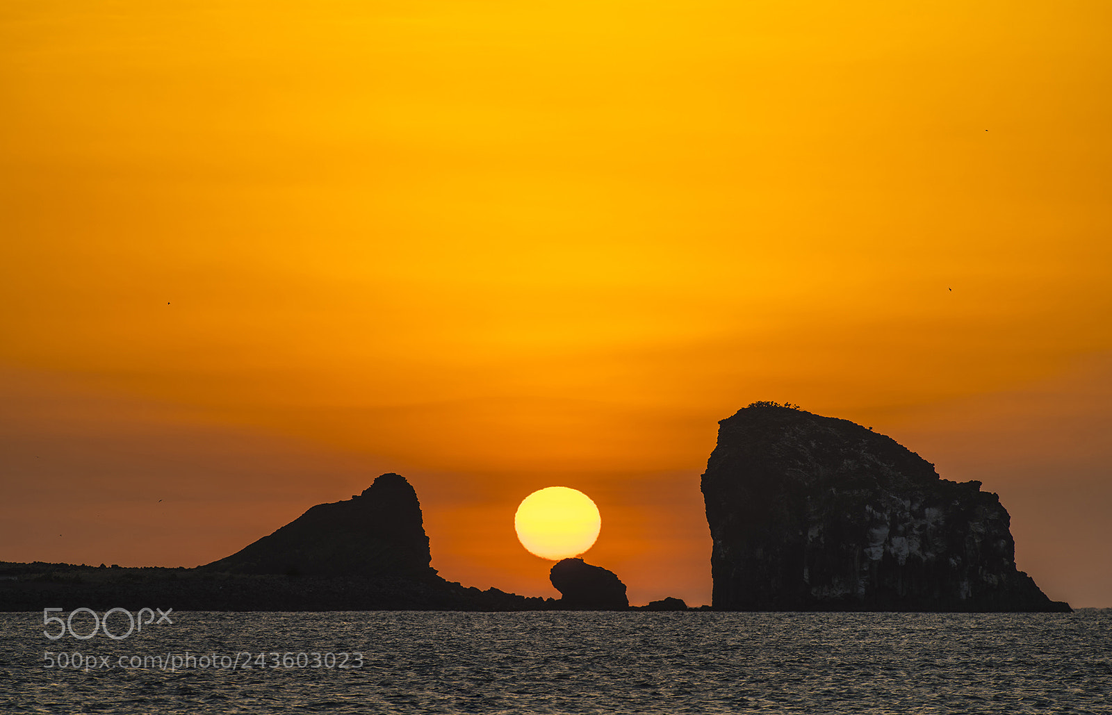Sony a7R II sample photo. Sun photography