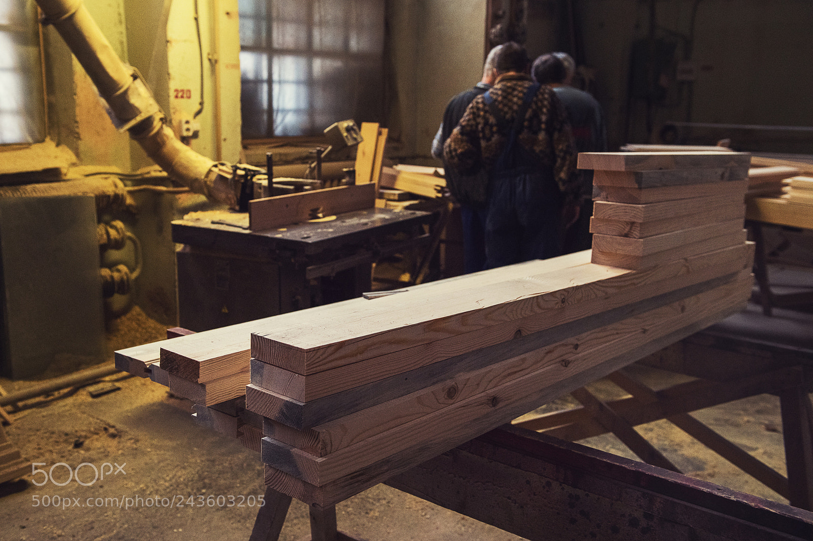 Nikon D810 sample photo. At the sawmill photography