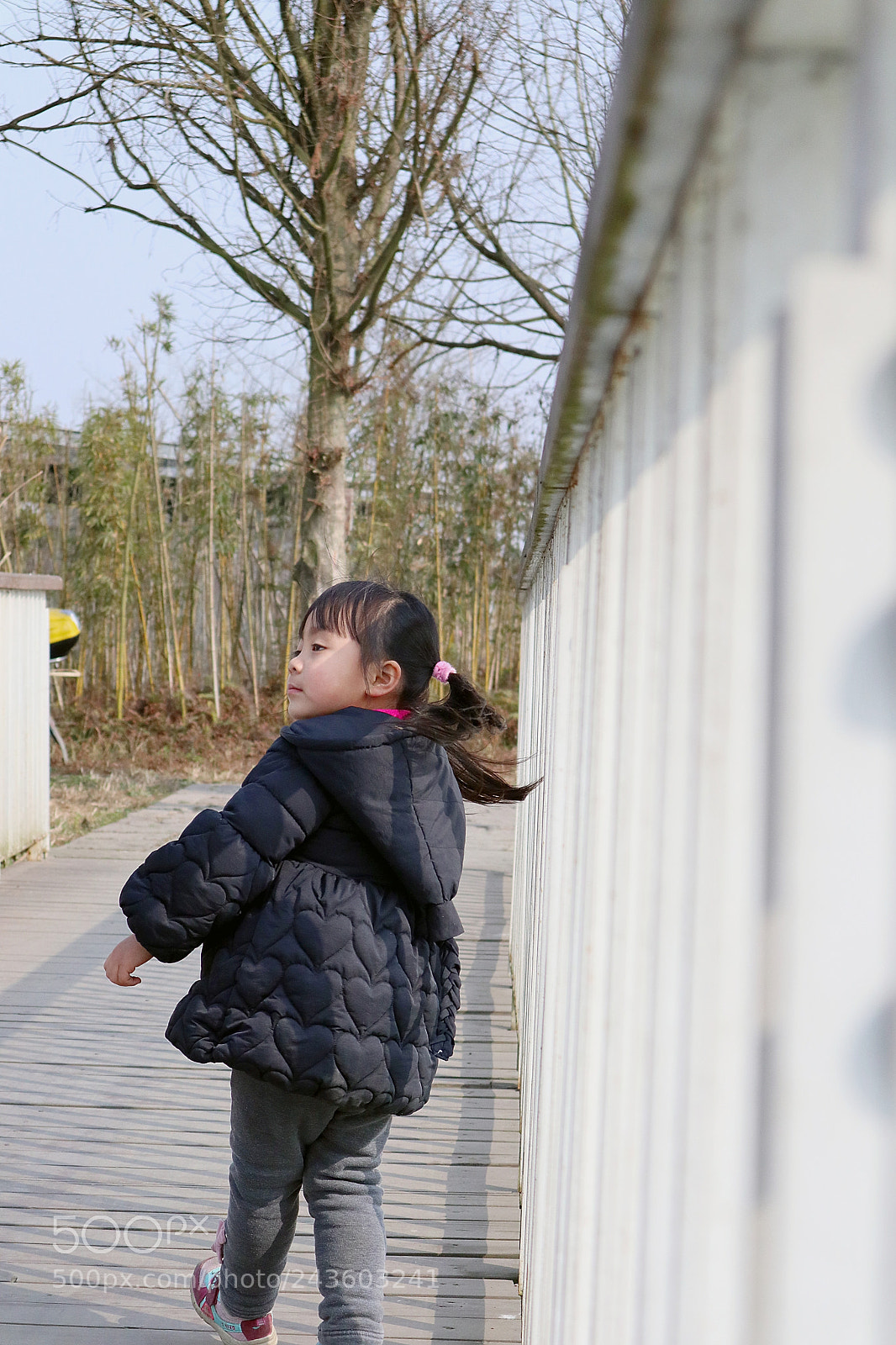 Canon EOS M6 sample photo. Untitled photography