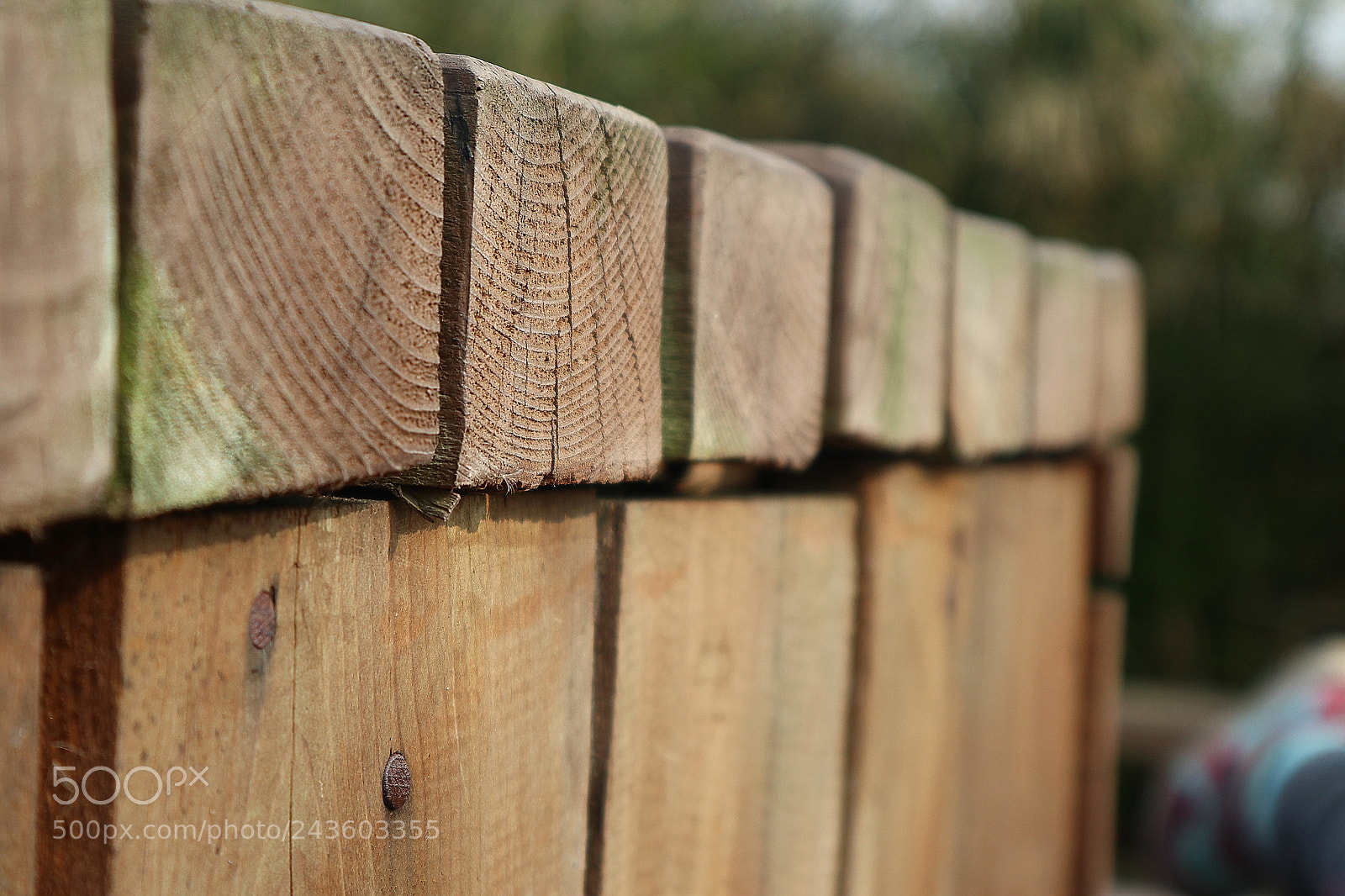 Canon EOS M6 sample photo. Untitled photography