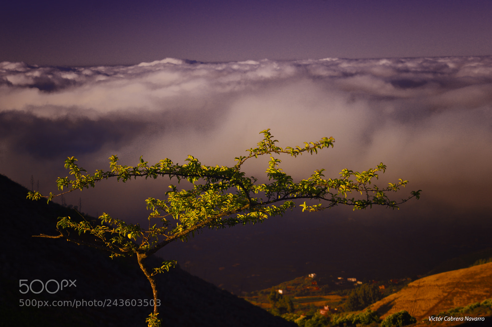 Nikon D3200 sample photo. Desde cueva grande photography