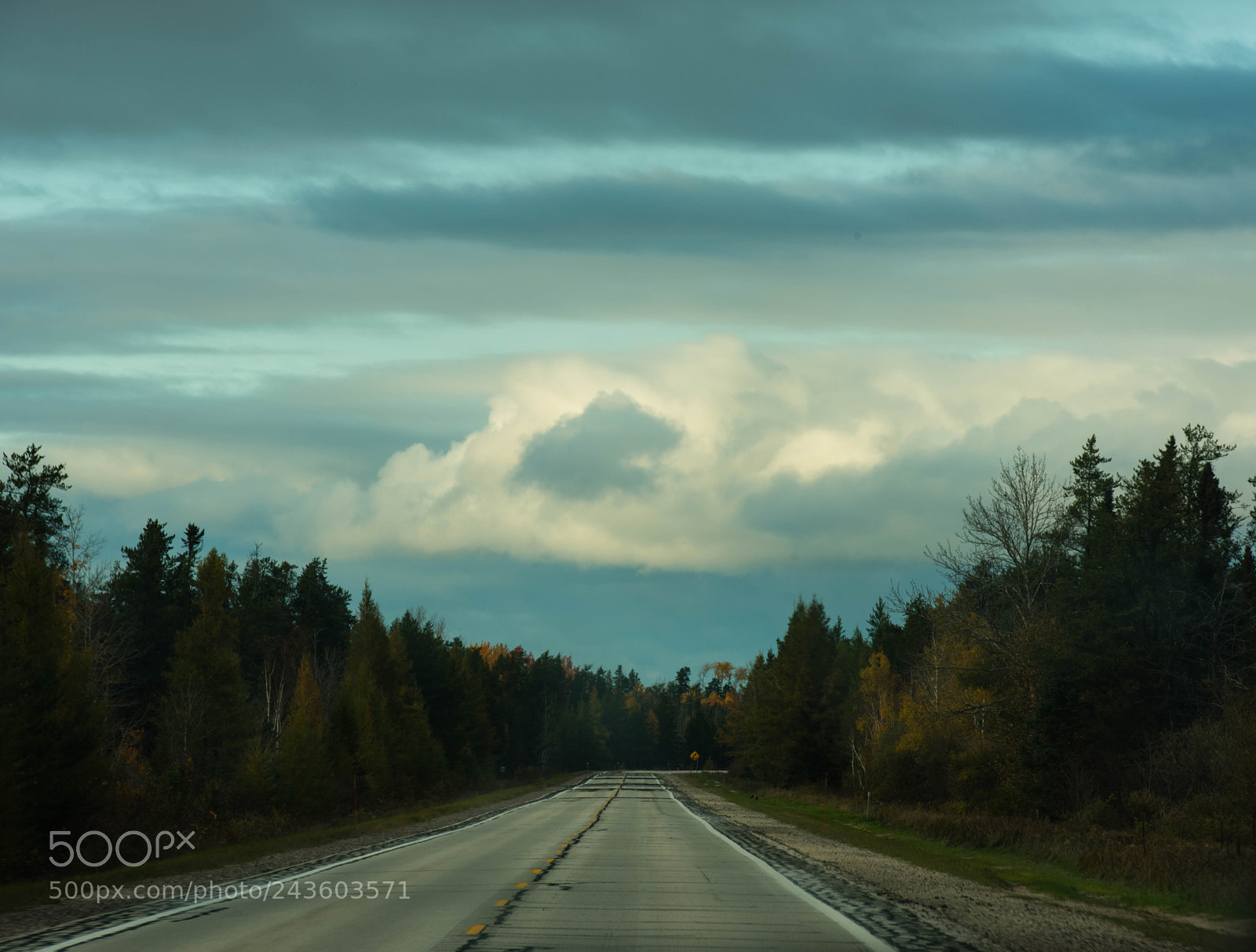 Nikon D810 sample photo. Untitled photography