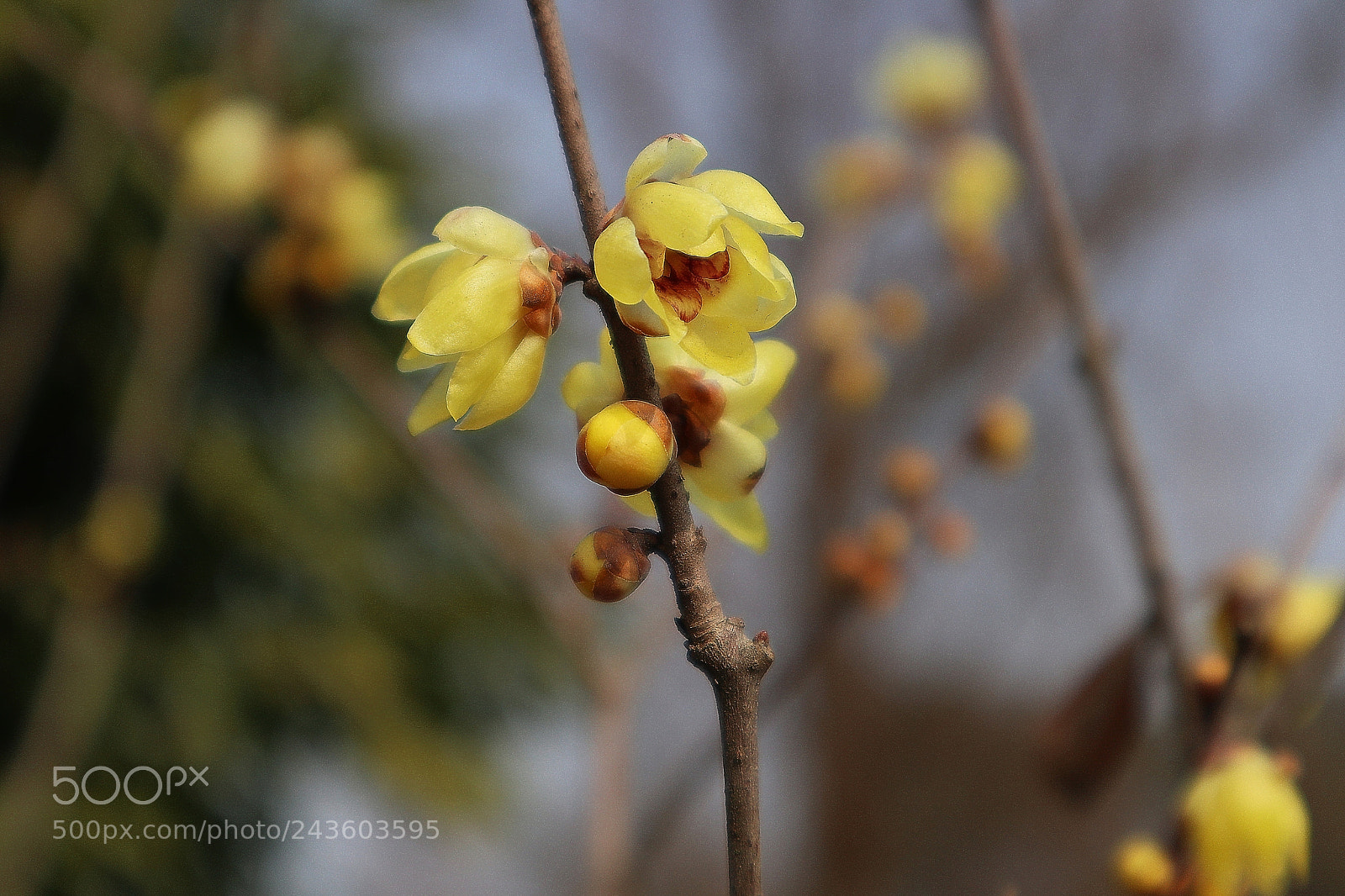 Canon EOS M6 sample photo. Untitled photography