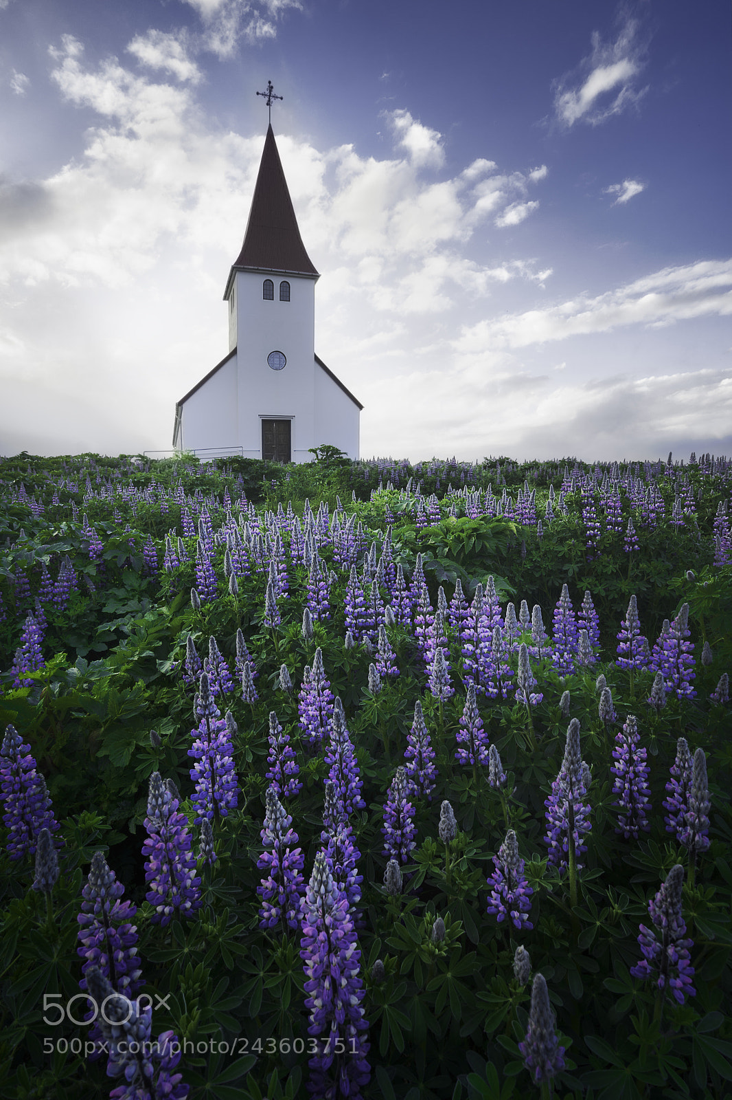Sony a7 II sample photo. Heaven's send photography