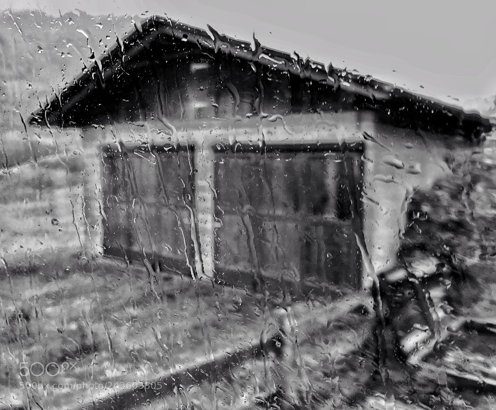 Apple iPhone 7 sample photo. Water painting... photography