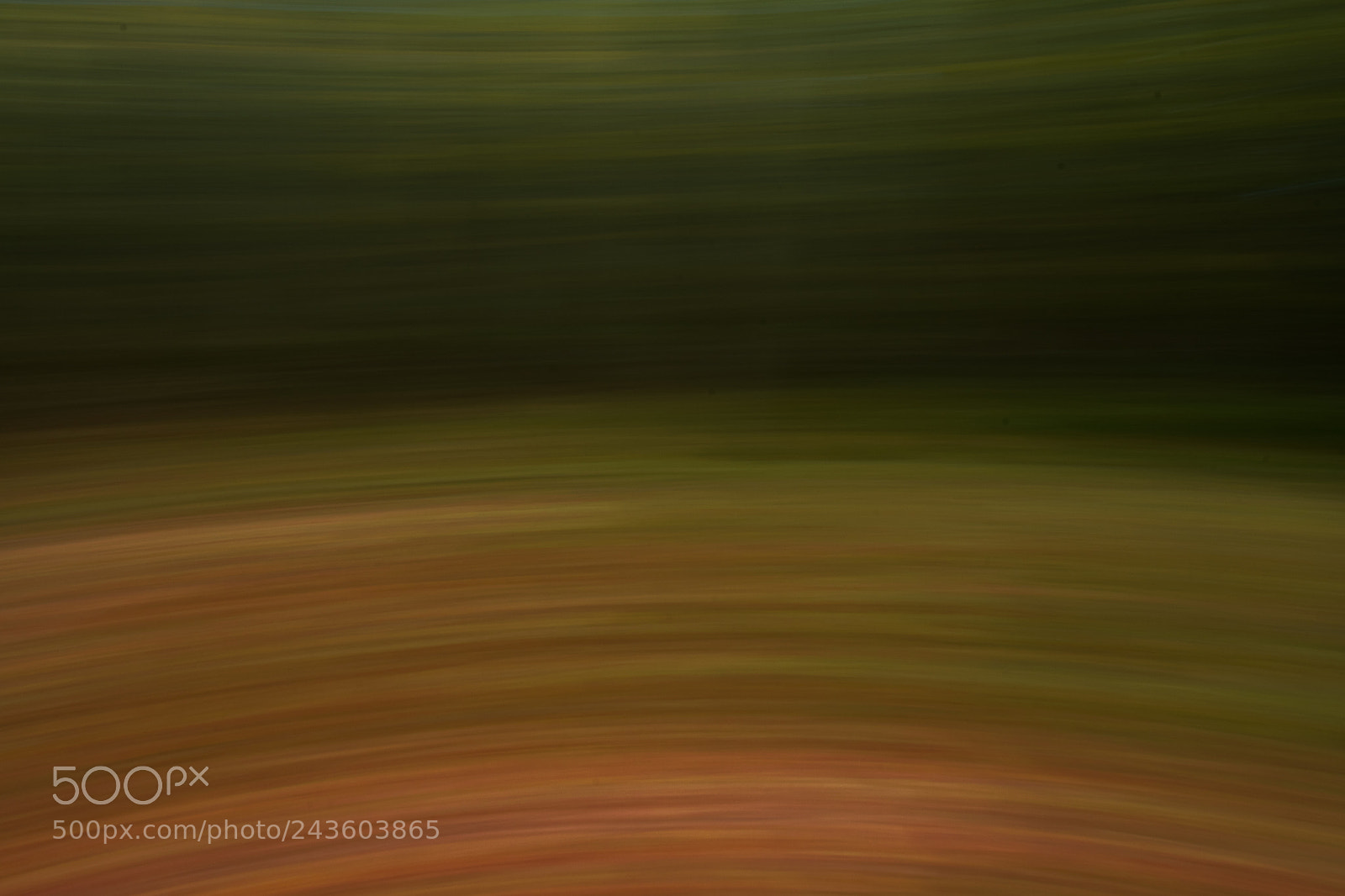 Nikon D500 sample photo. Spin photography