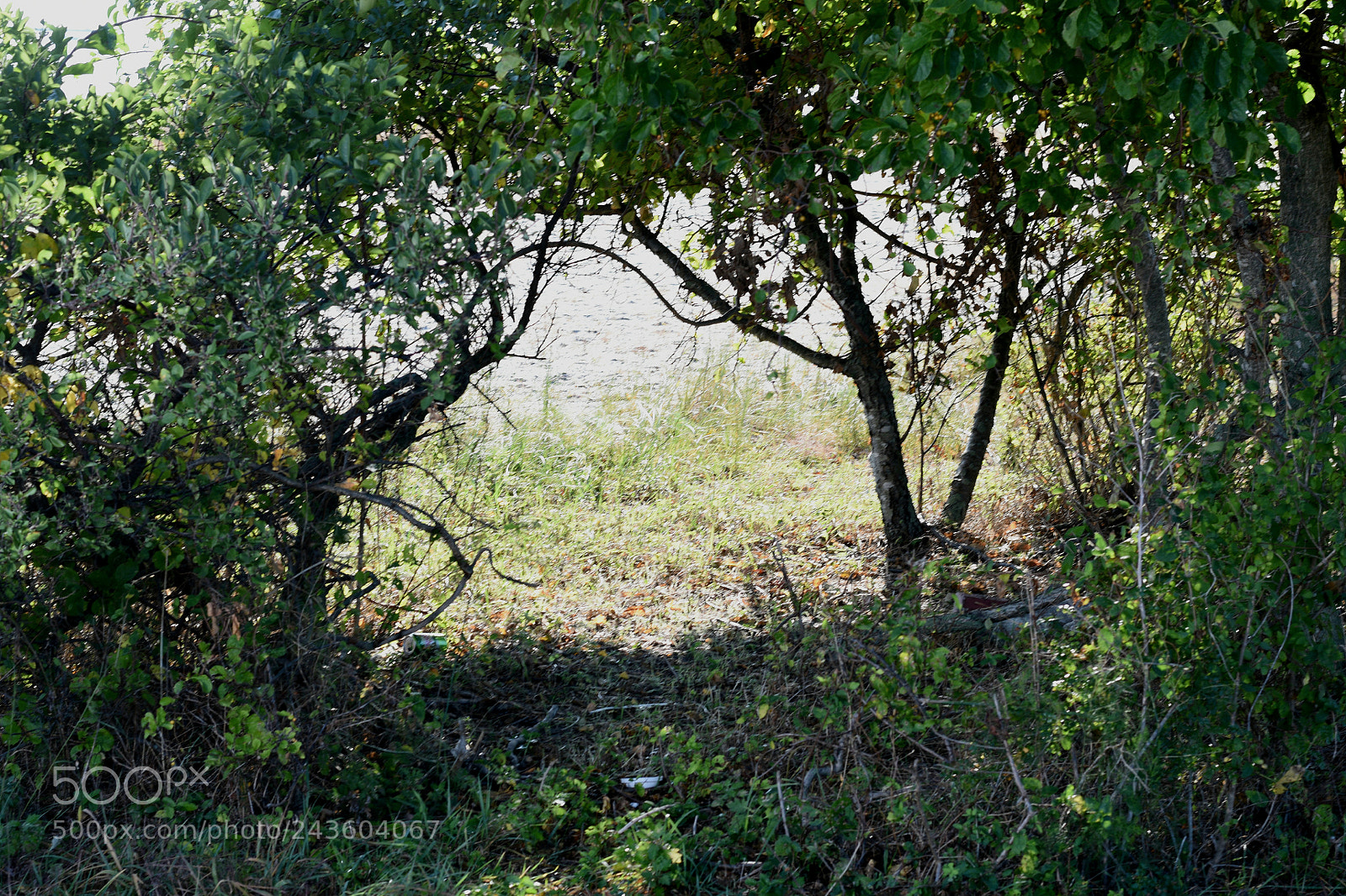 Nikon D5500 sample photo. The other side... photography