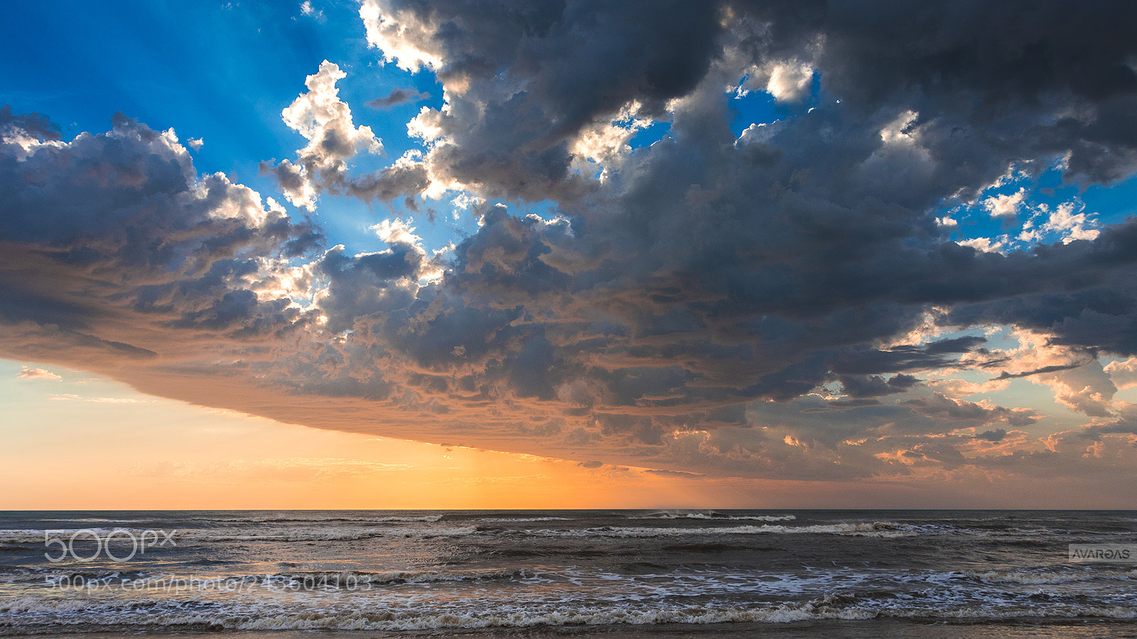 Canon EOS 7D Mark II sample photo. Rainha photography