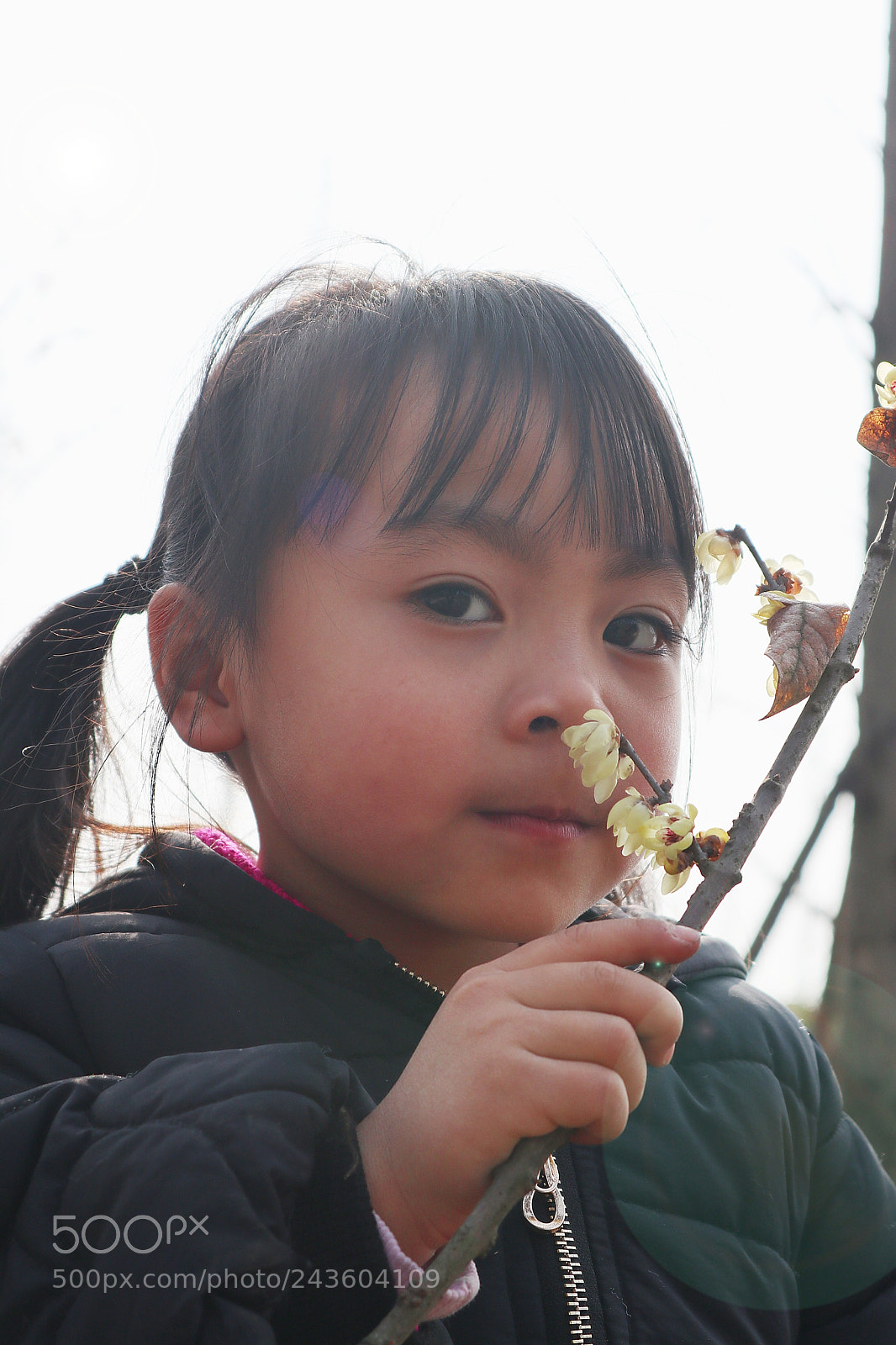 Canon EOS M6 sample photo. Untitled photography