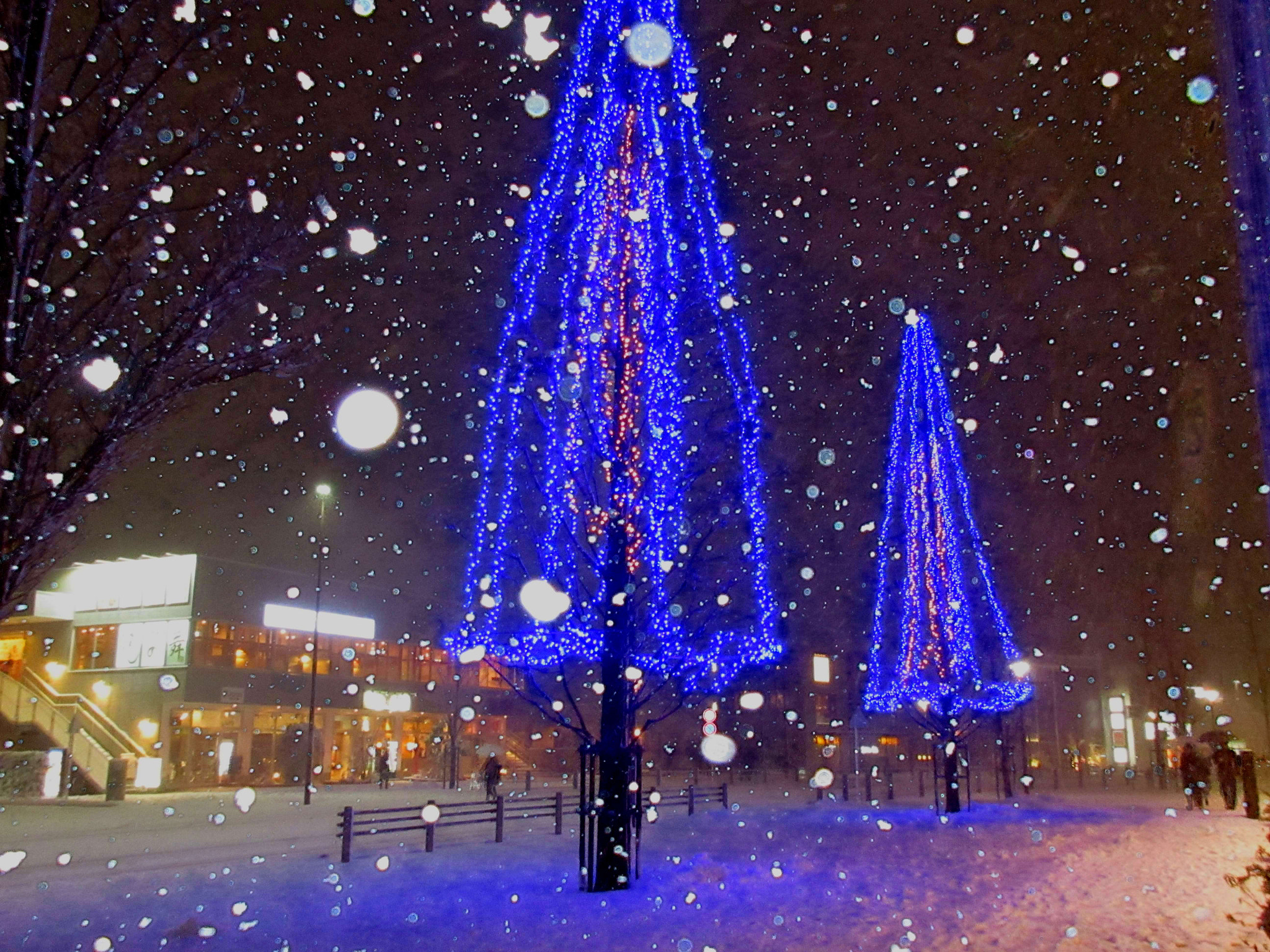 Canon PowerShot ELPH 360 HS (IXUS 285 HS / IXY 650) sample photo. It's snowing in front of                the ebina-station at jan.22th. photography