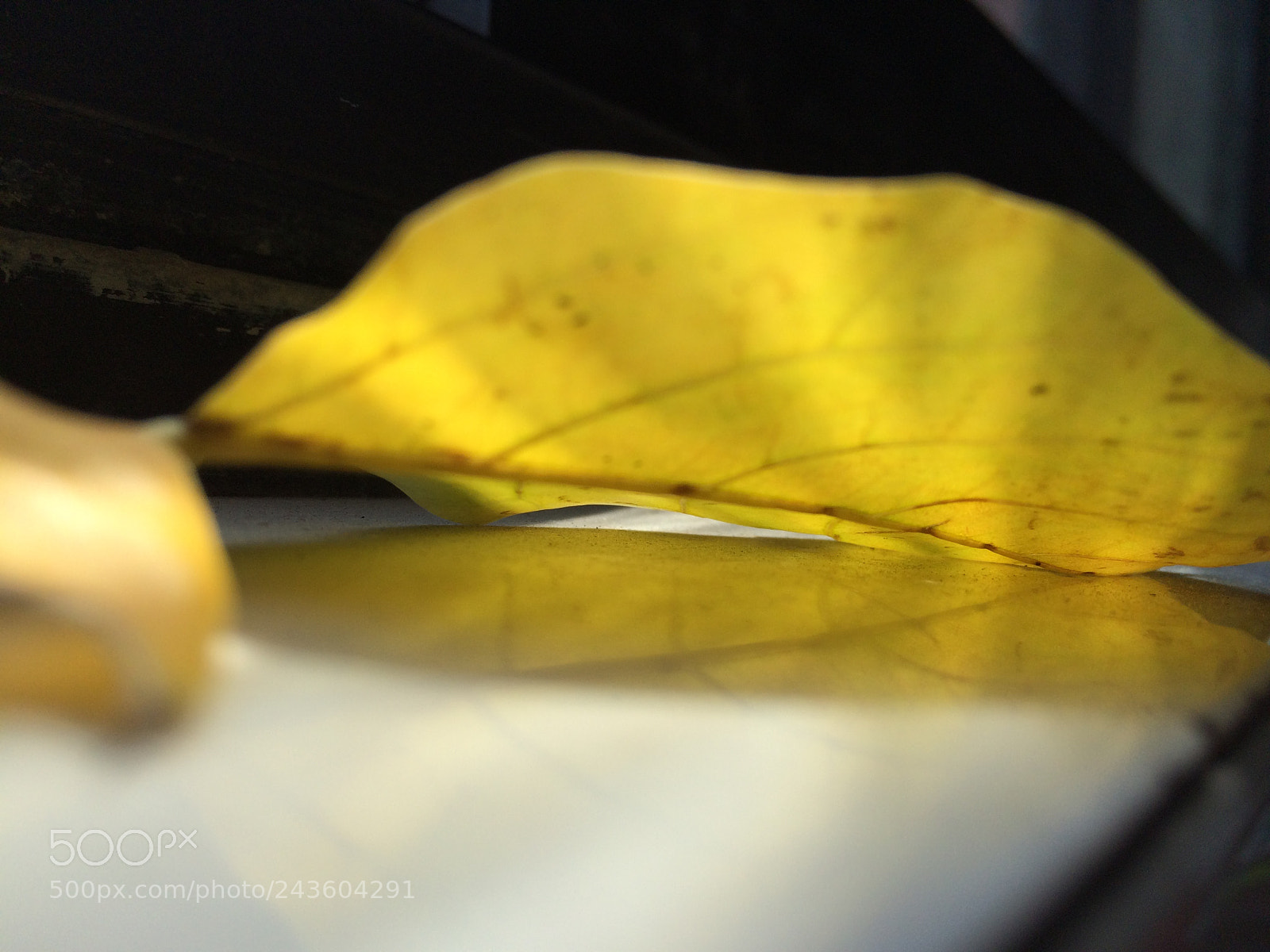 Apple iPhone 5s sample photo. Img photography