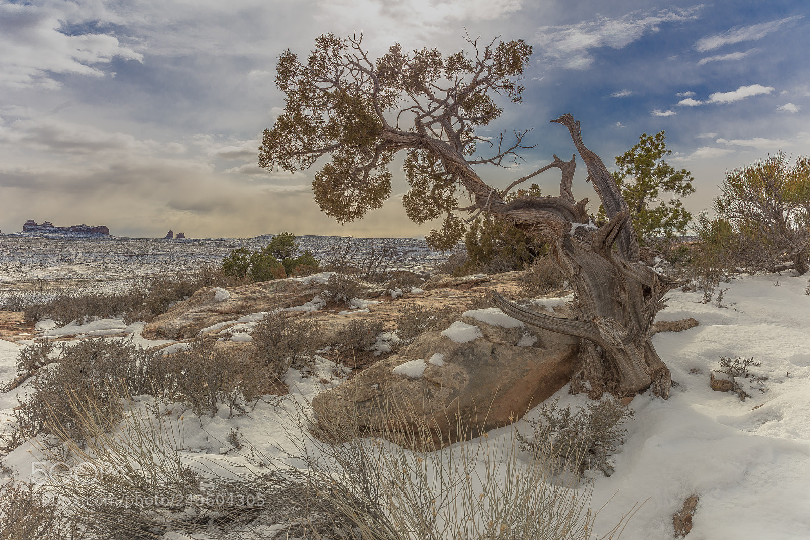 Nikon D810 sample photo. Basking photography