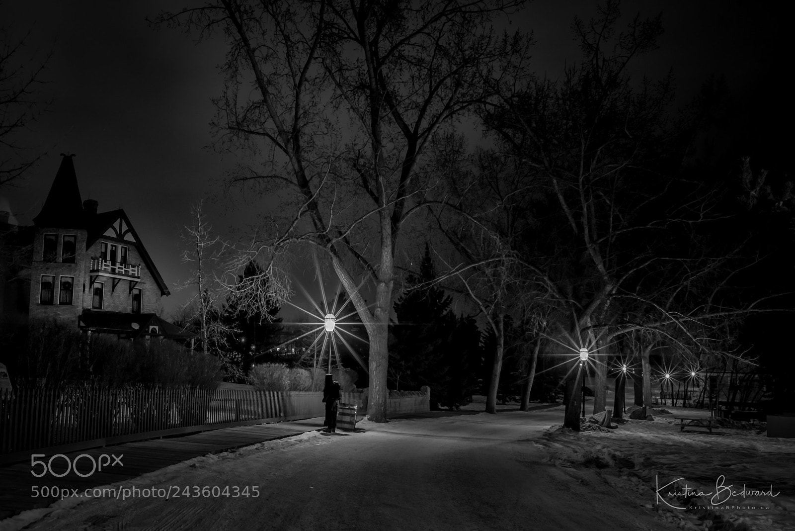 Nikon D600 sample photo. The prince house photography