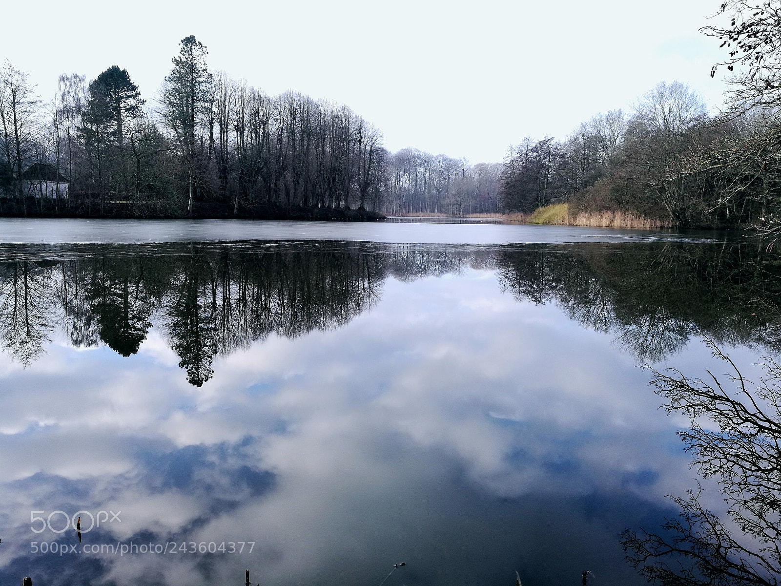 HUAWEI P9 sample photo. Untitled photography