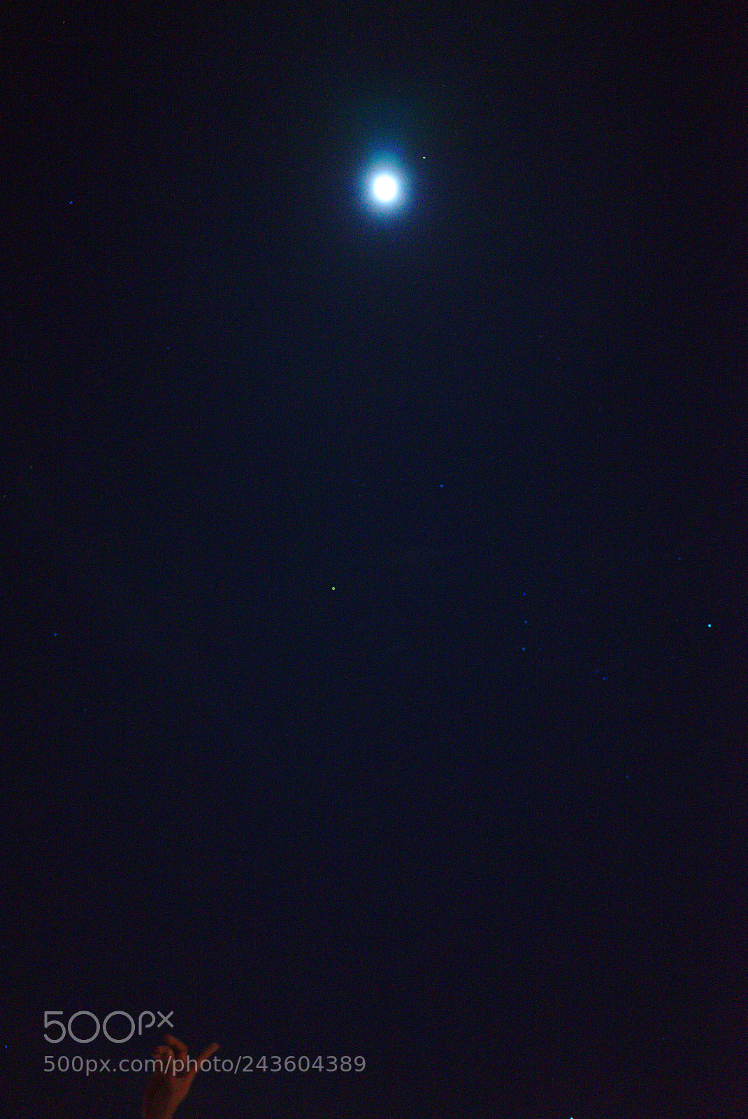 Sony a7 II sample photo. Dsc photography