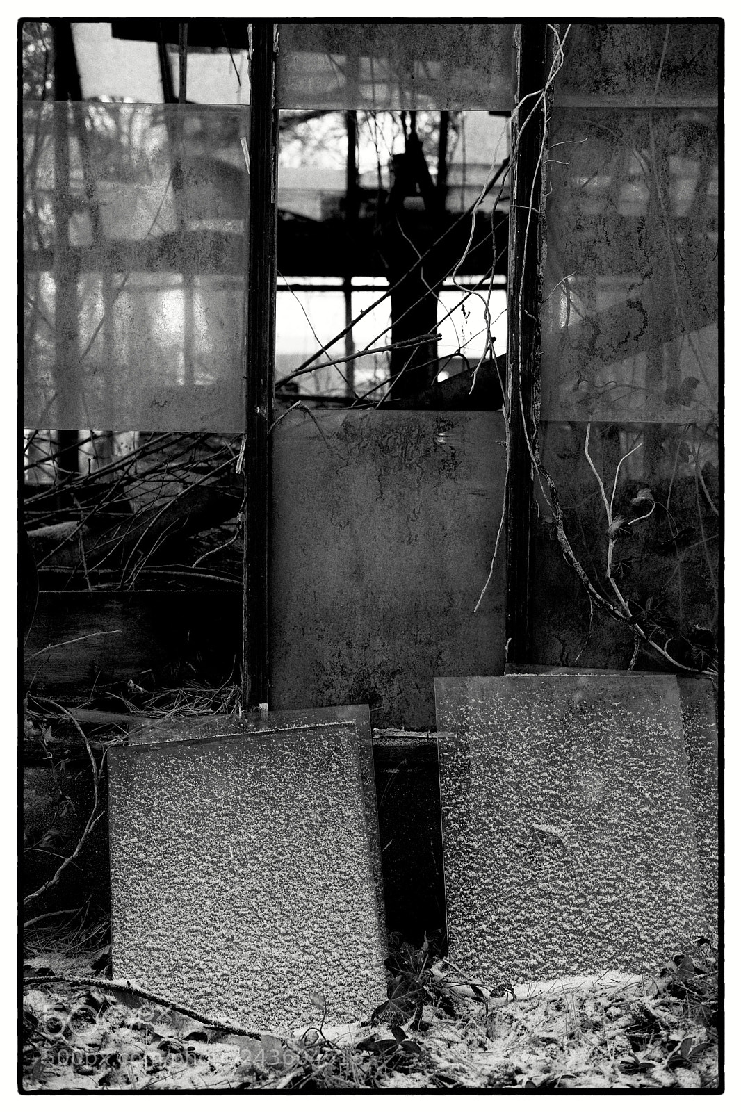 Fujifilm X-Pro2 sample photo. Drafty greenhouse windows photography