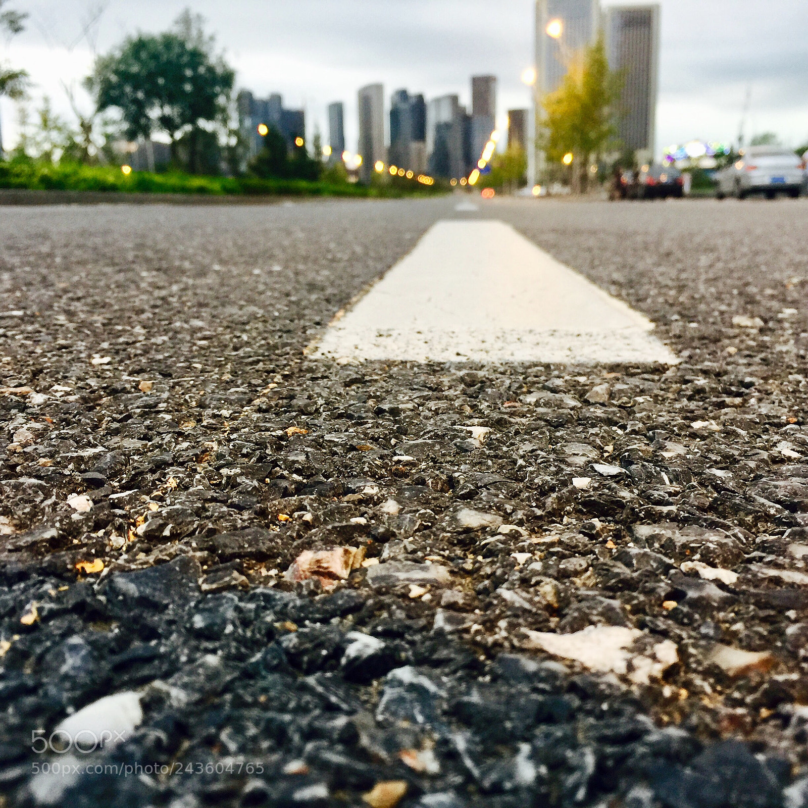 Apple iPhone 6 Plus sample photo. Untitled photography