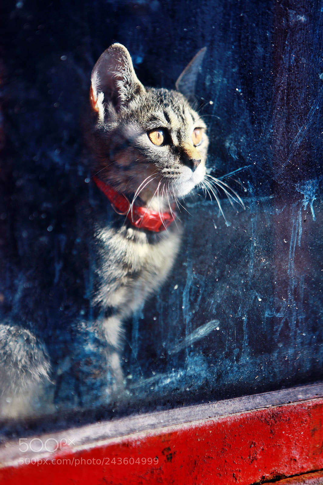 Canon EOS 5D sample photo. Untitled photography