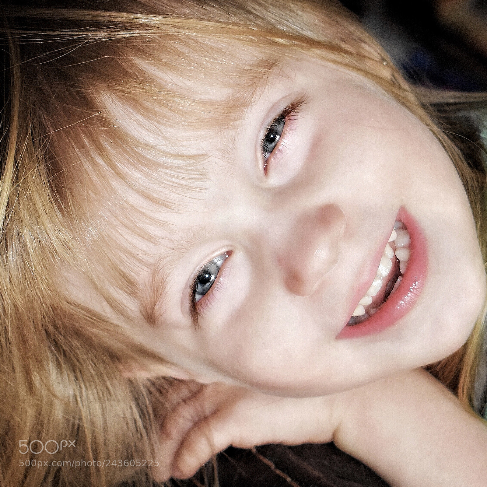 Nikon D5600 sample photo. Untitled photography