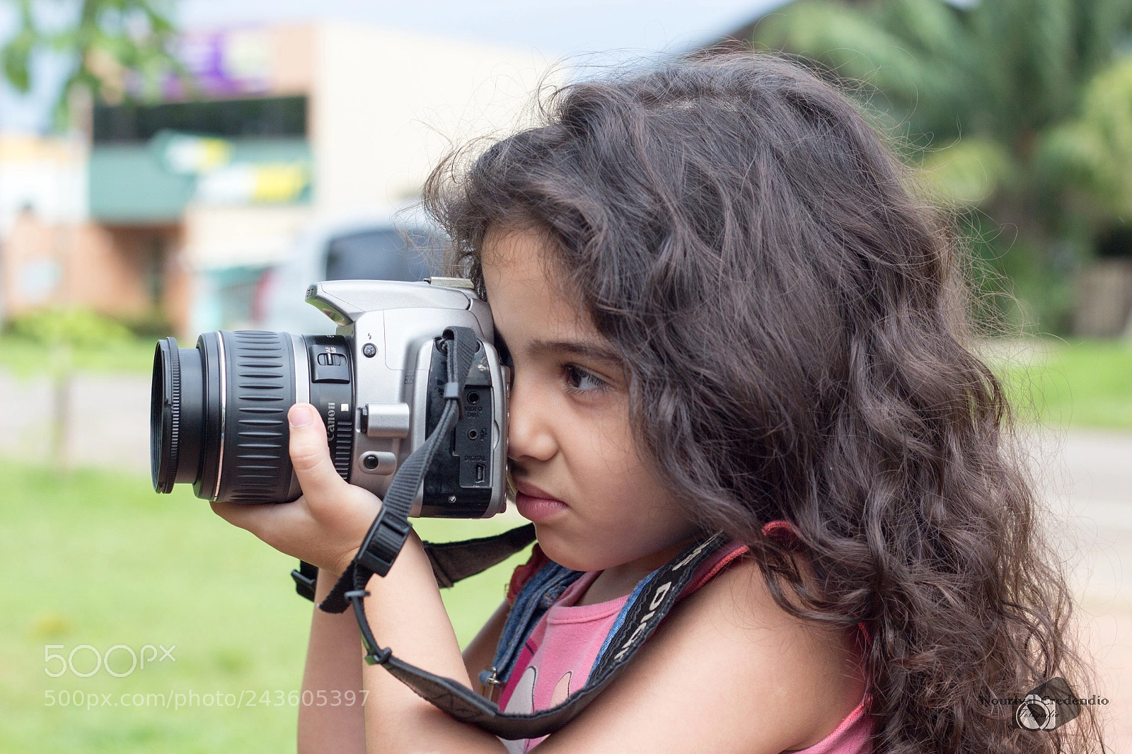 Canon EOS 600D (Rebel EOS T3i / EOS Kiss X5) sample photo. The old camera did photography
