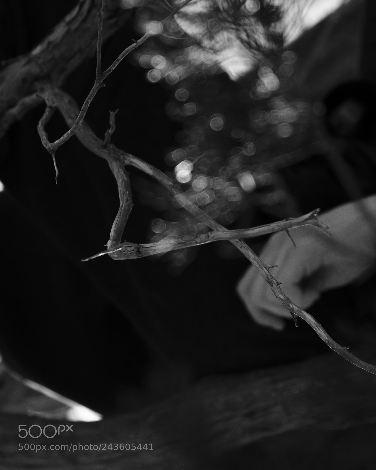 Fujifilm X-T20 sample photo. Untitled 1 photography