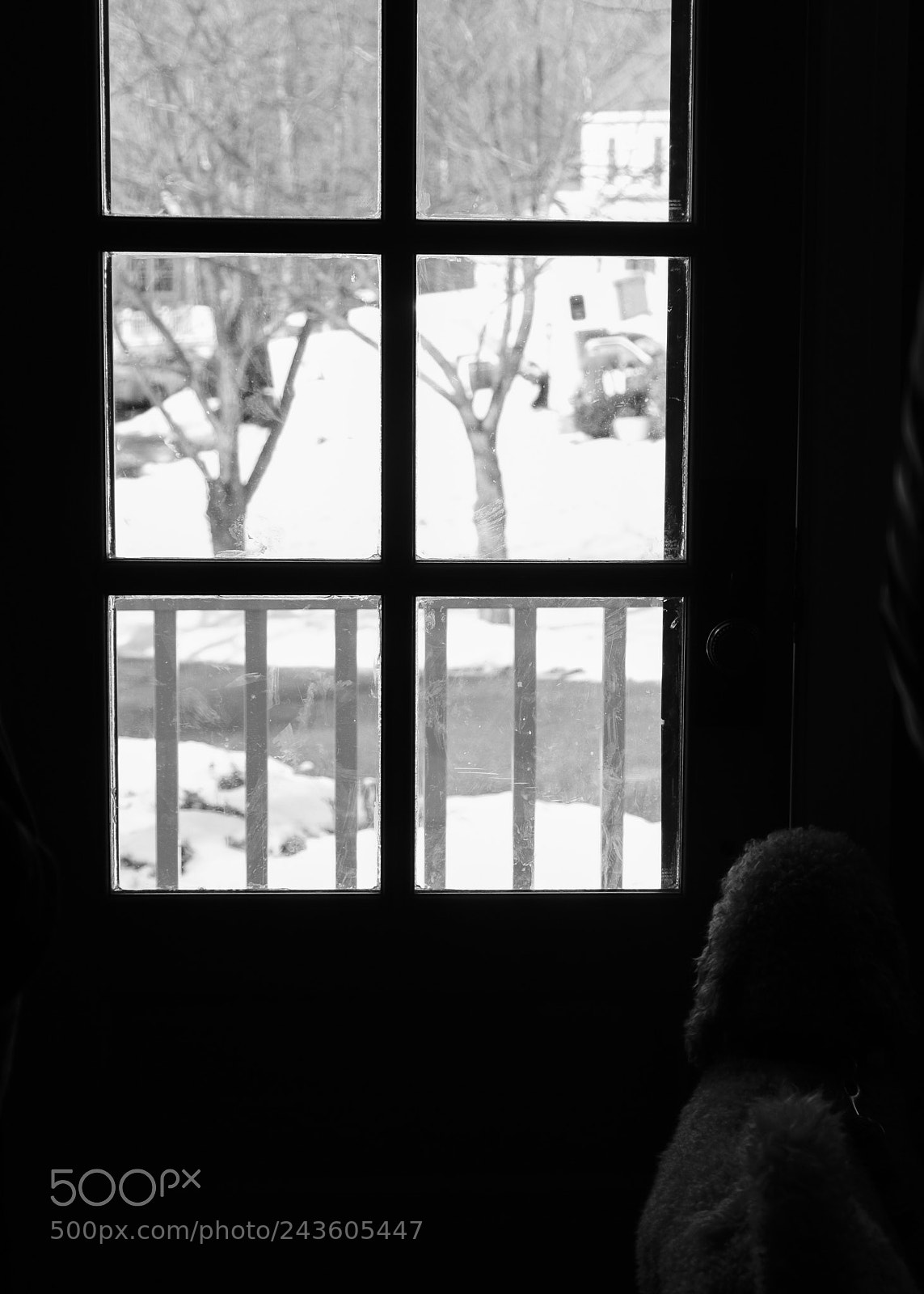 Fujifilm X-T20 sample photo. Untitled 1 photography