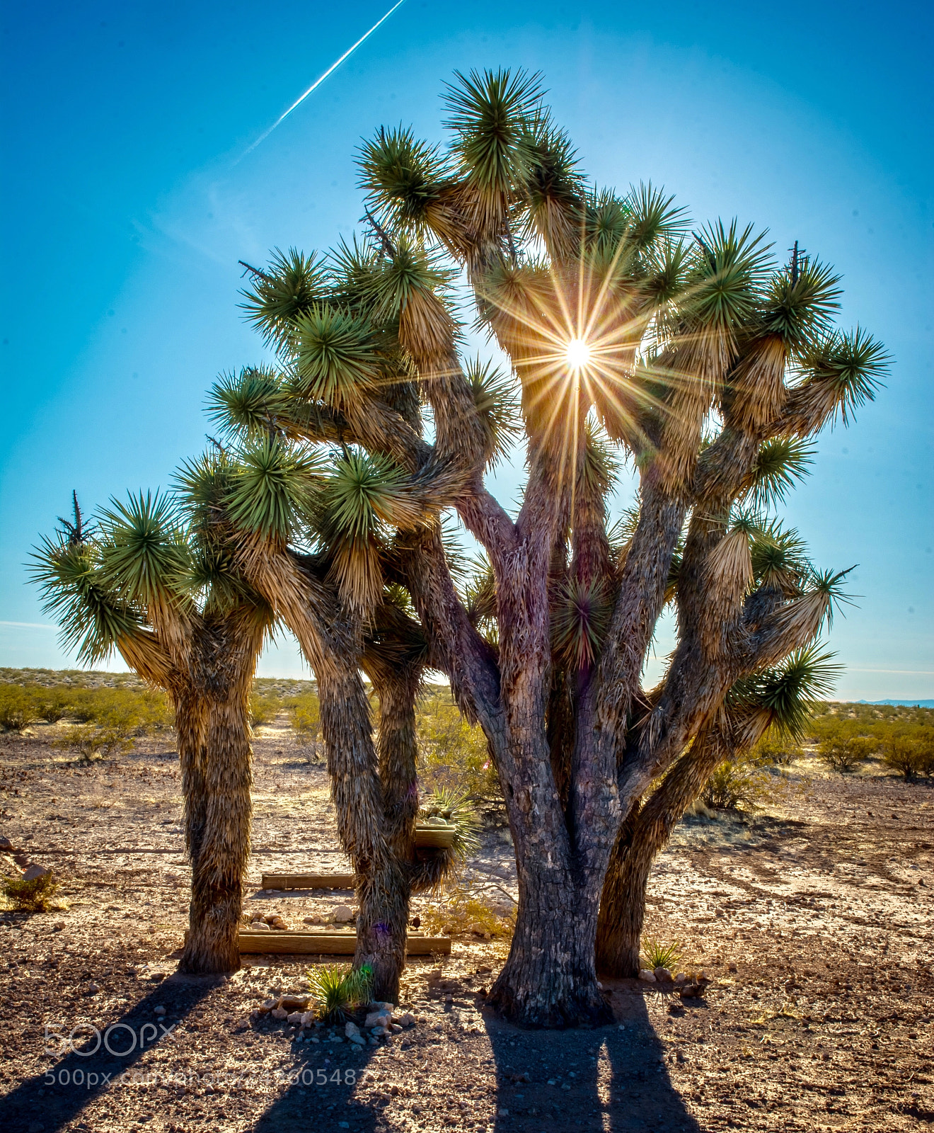 Nikon D7100 sample photo. The sun always shines photography
