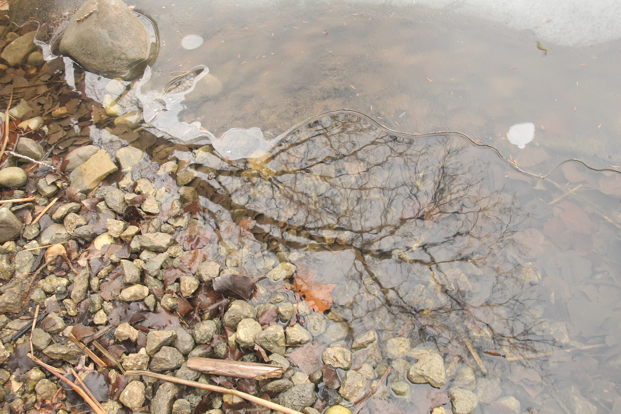 Canon EOS 1200D (EOS Rebel T5 / EOS Kiss X70 / EOS Hi) sample photo. Stones, reflection, and ice. 石頭，反射和冰。 石、反射、氷。 photography