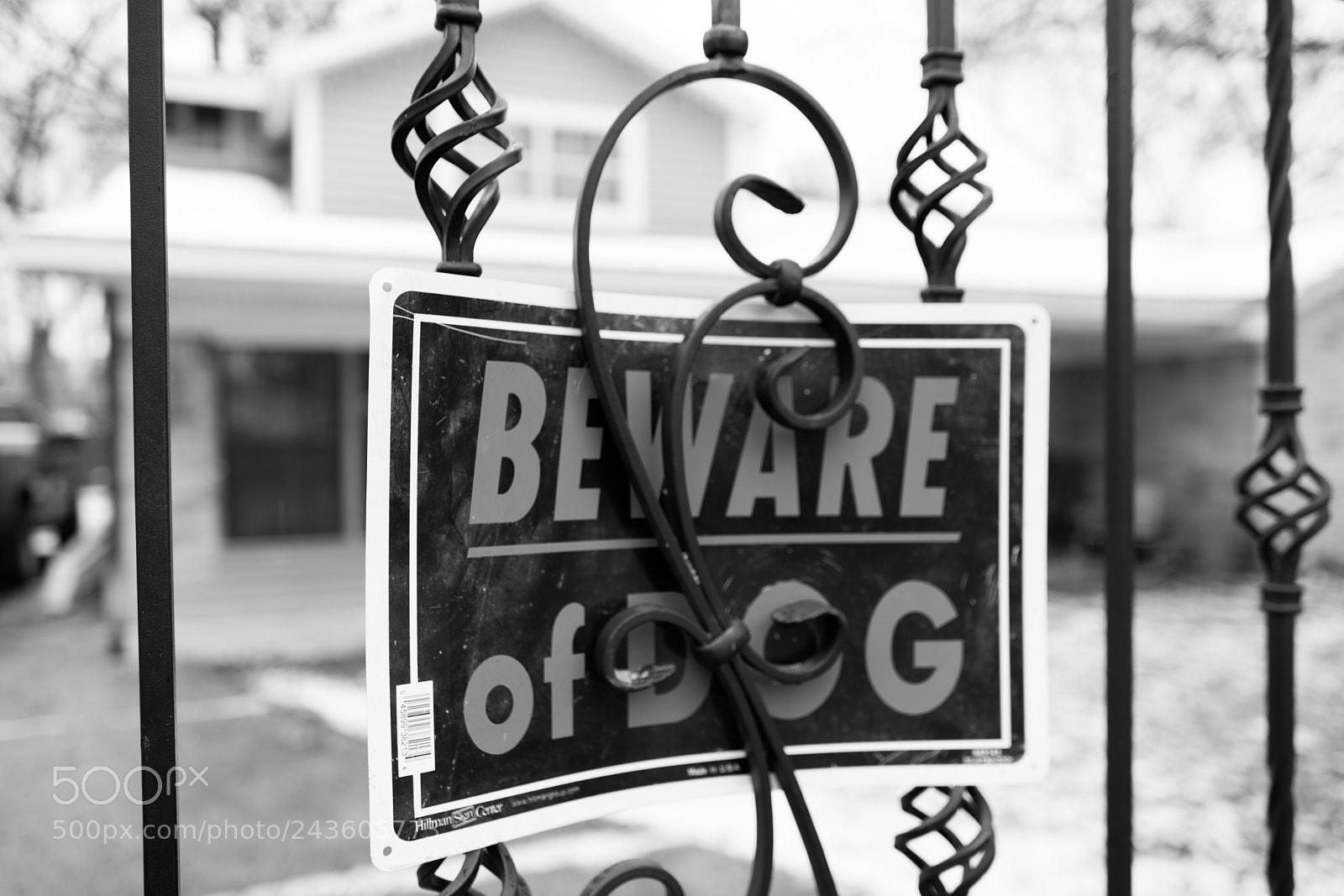 Sony a7R II sample photo. Beware of dog photography