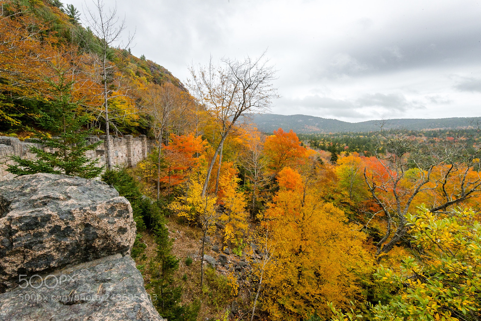 Nikon D800E sample photo. Carriage road - acadia photography