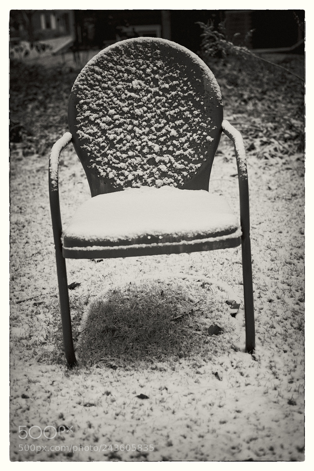 Fujifilm X-Pro2 sample photo. A summer seat on photography