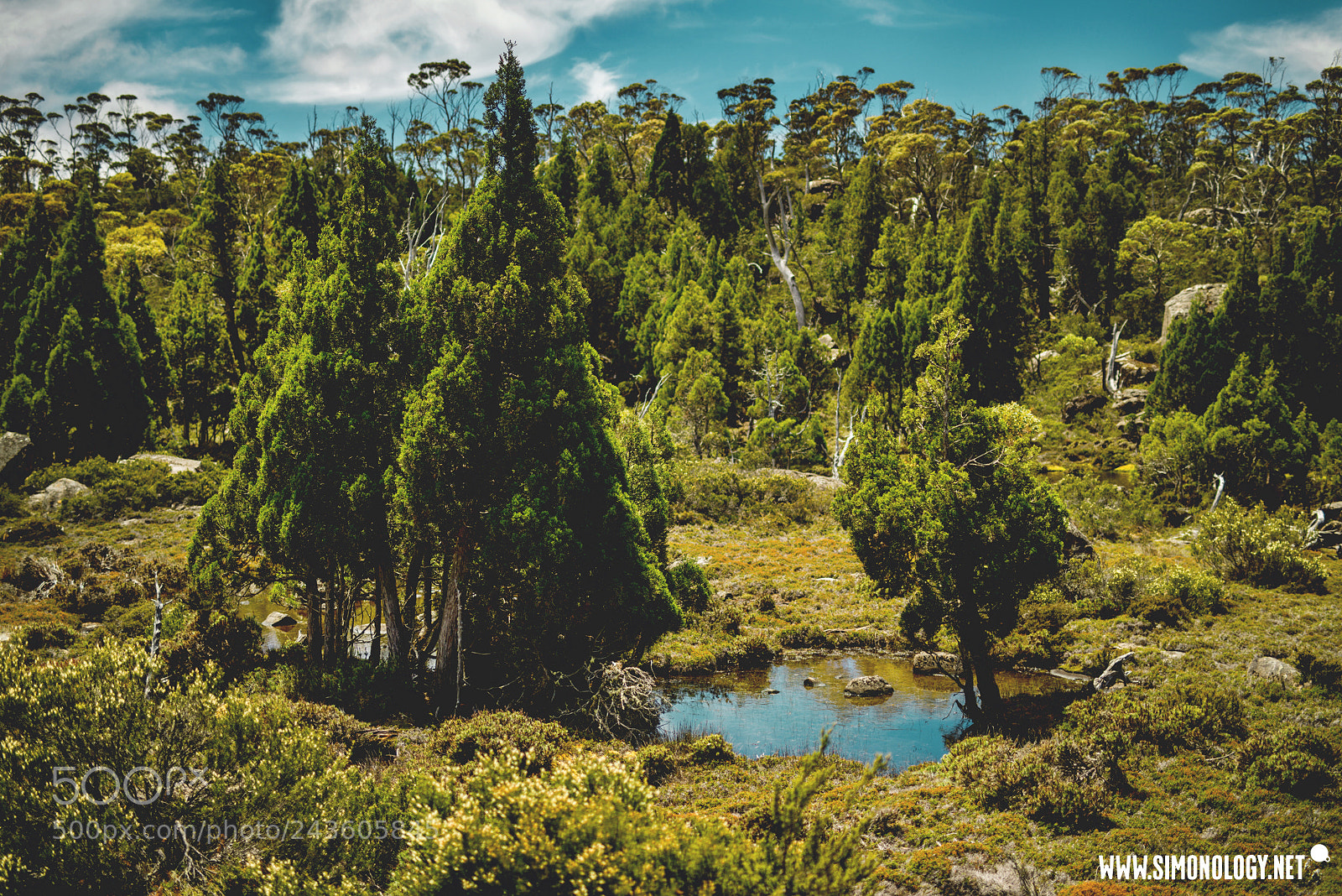 Nikon D800E sample photo. Walls of jerusalem national photography