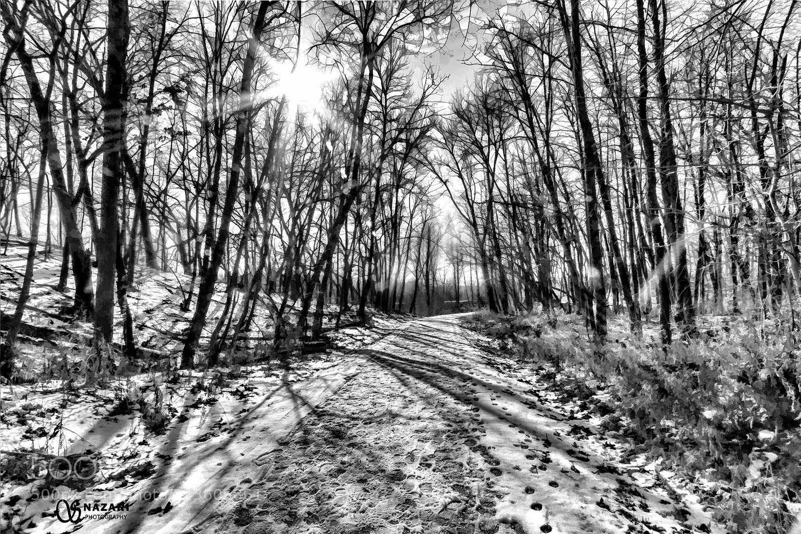 Canon EOS 7D Mark II sample photo. Snowy path photography