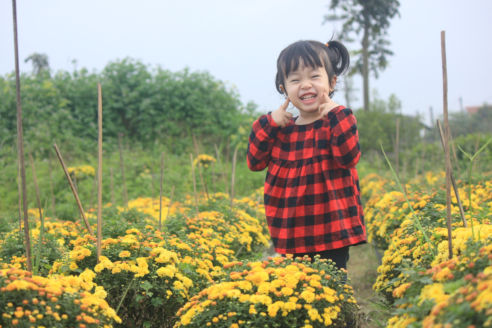 Canon EOS 550D (EOS Rebel T2i / EOS Kiss X4) sample photo. Tet is around photography